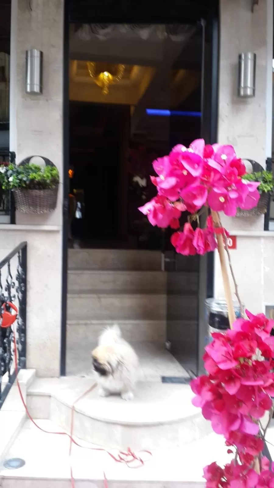 Facade/entrance in Pearl Hotel İstanbul