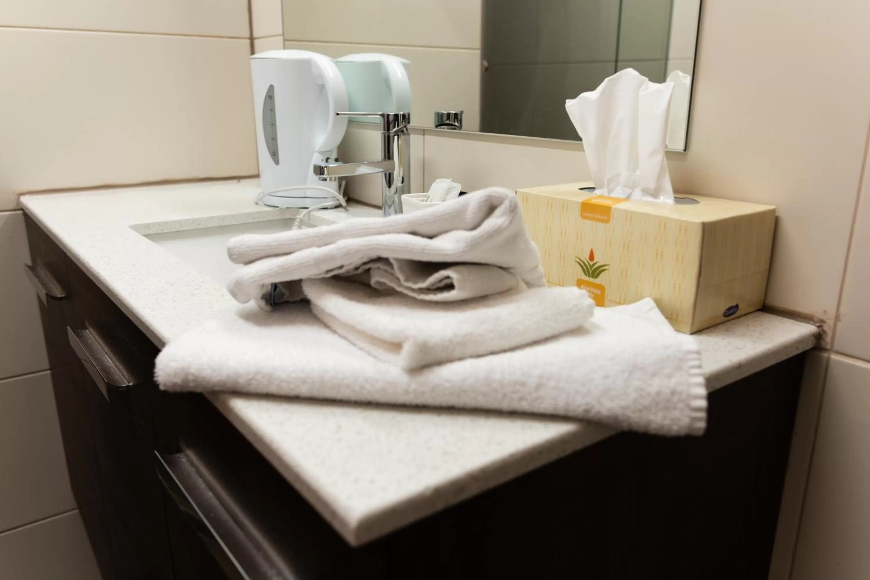 Bathroom in Black Forest Motel