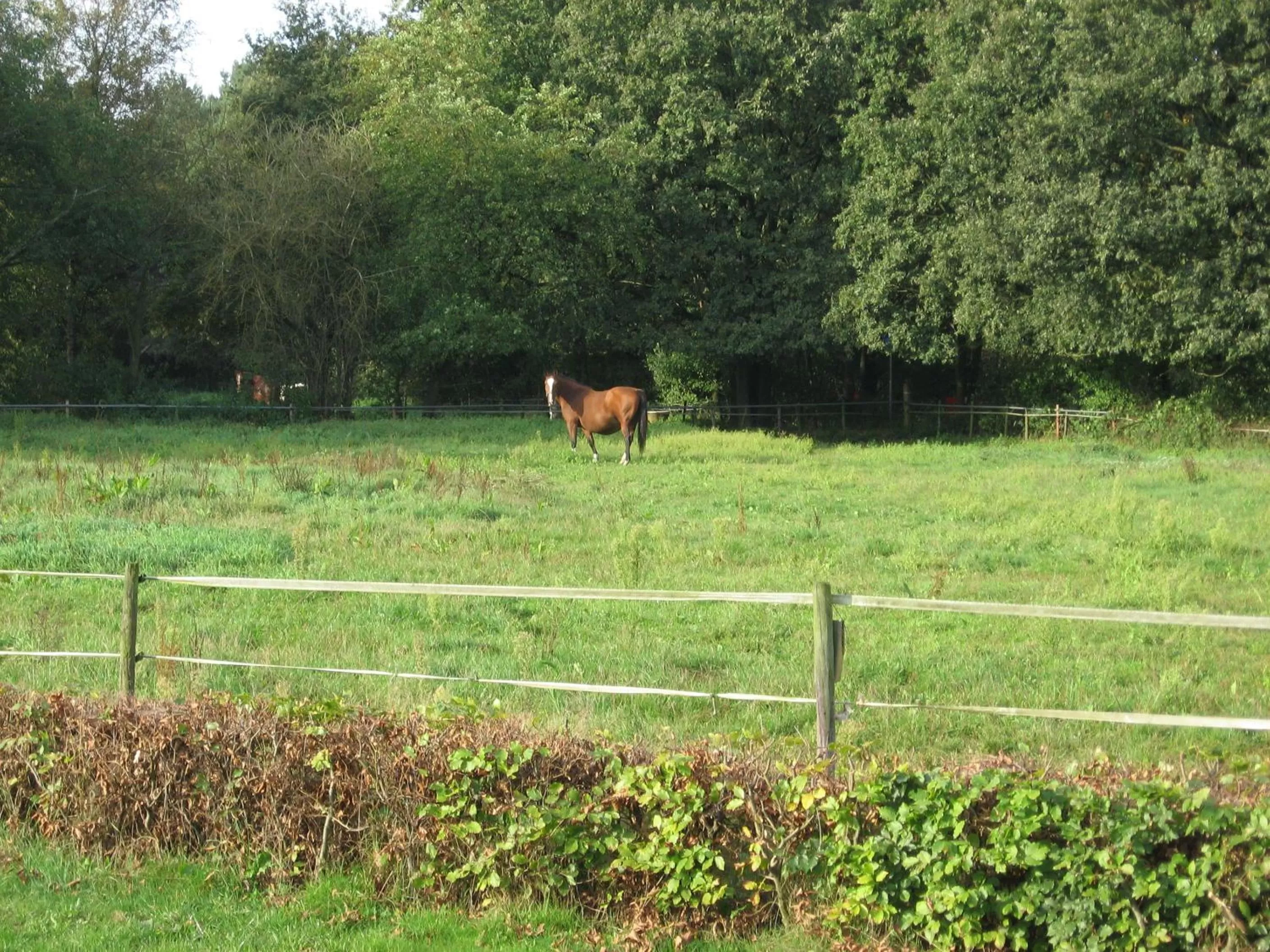 Bird's eye view in Rustpunt Groote Heide