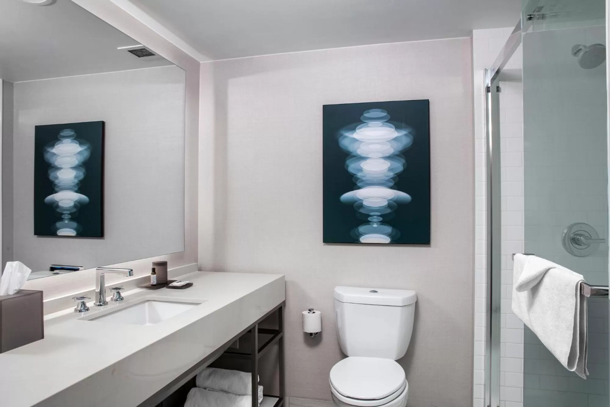 Bathroom in Hyatt Regency Birmingham - The Wynfrey Hotel