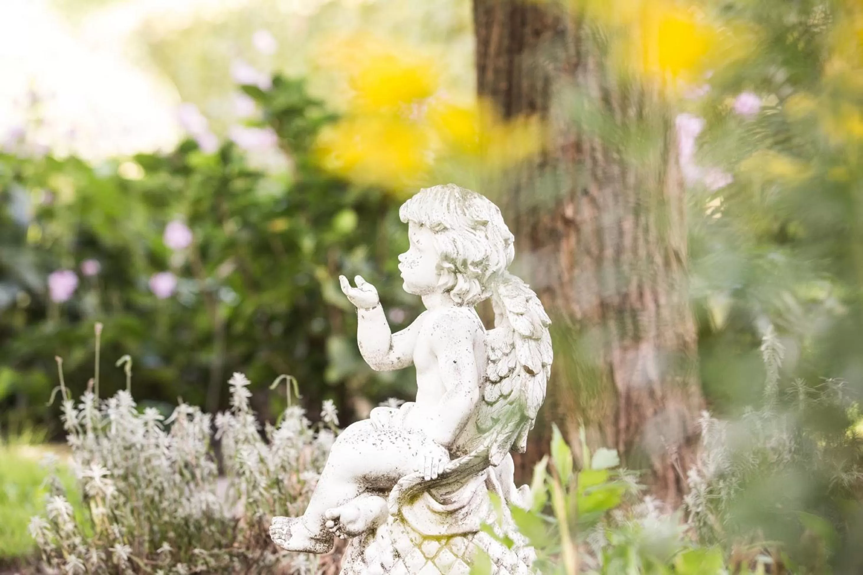 Garden in Parkhotel Bilm im Glück am Stadtrand Hannovers