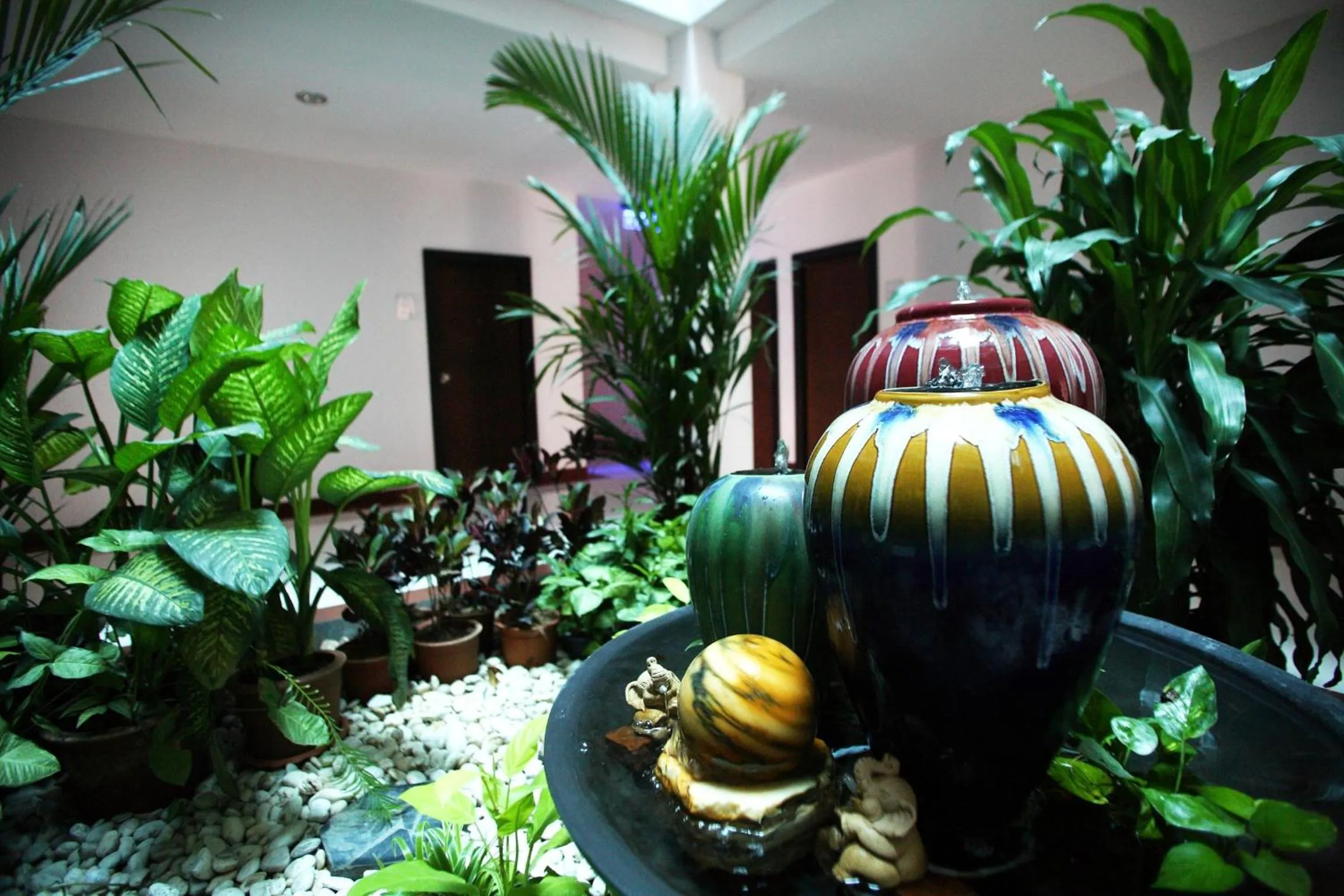 Garden in Pattara Place