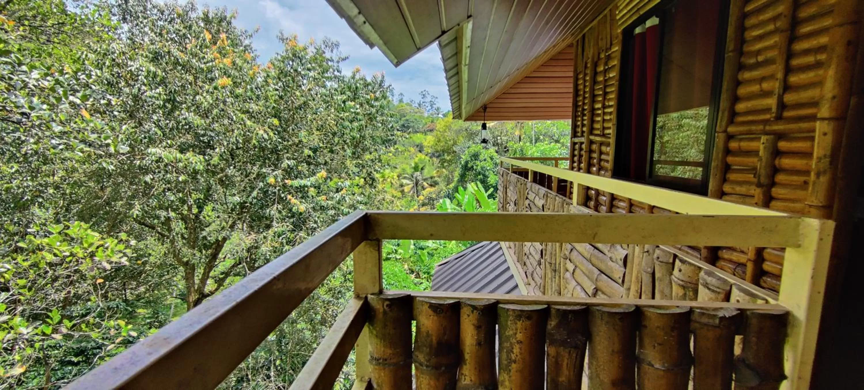 Balcony/Terrace in Chalona Jungle Vibe