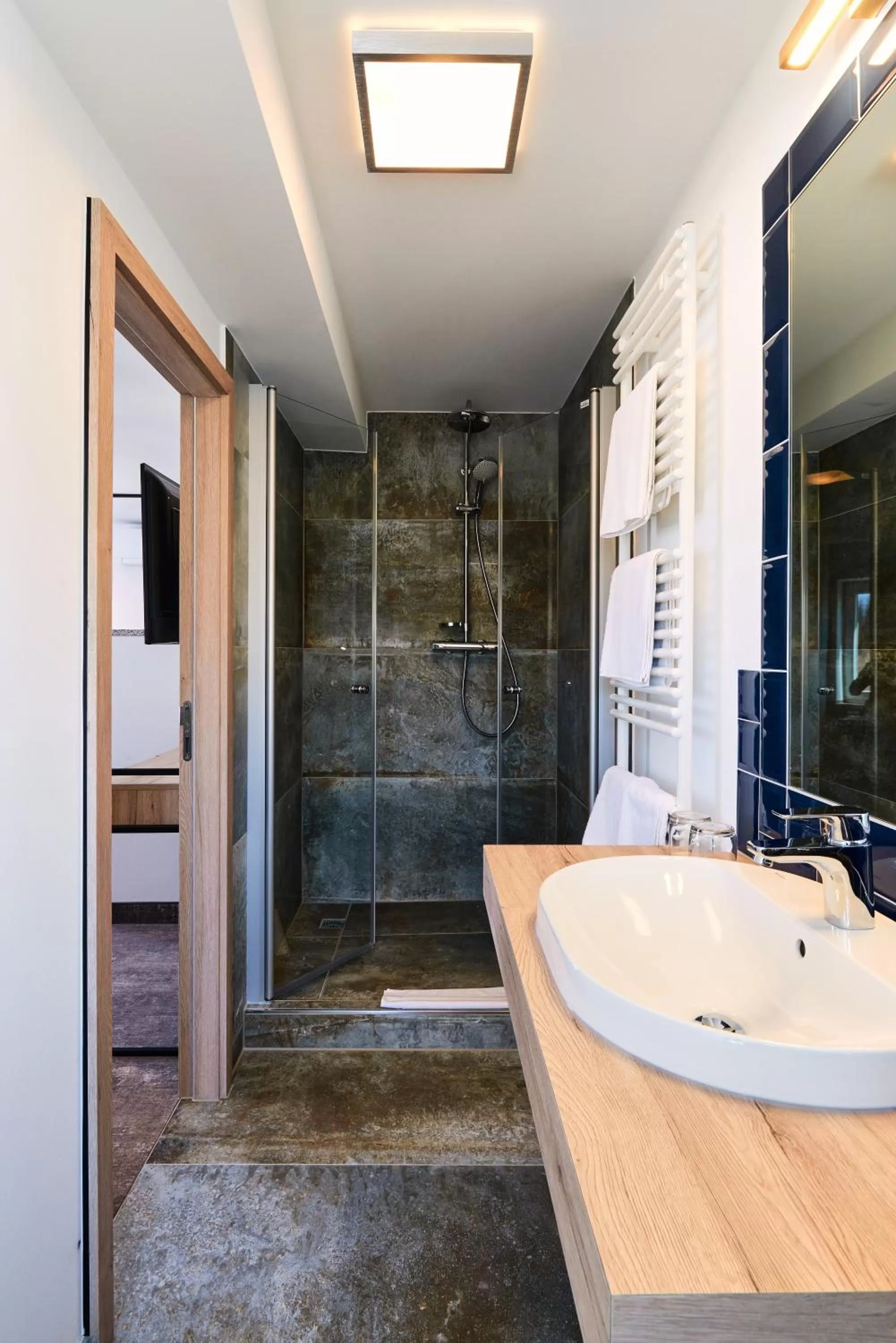 Shower in Hotel SCHNEIDER