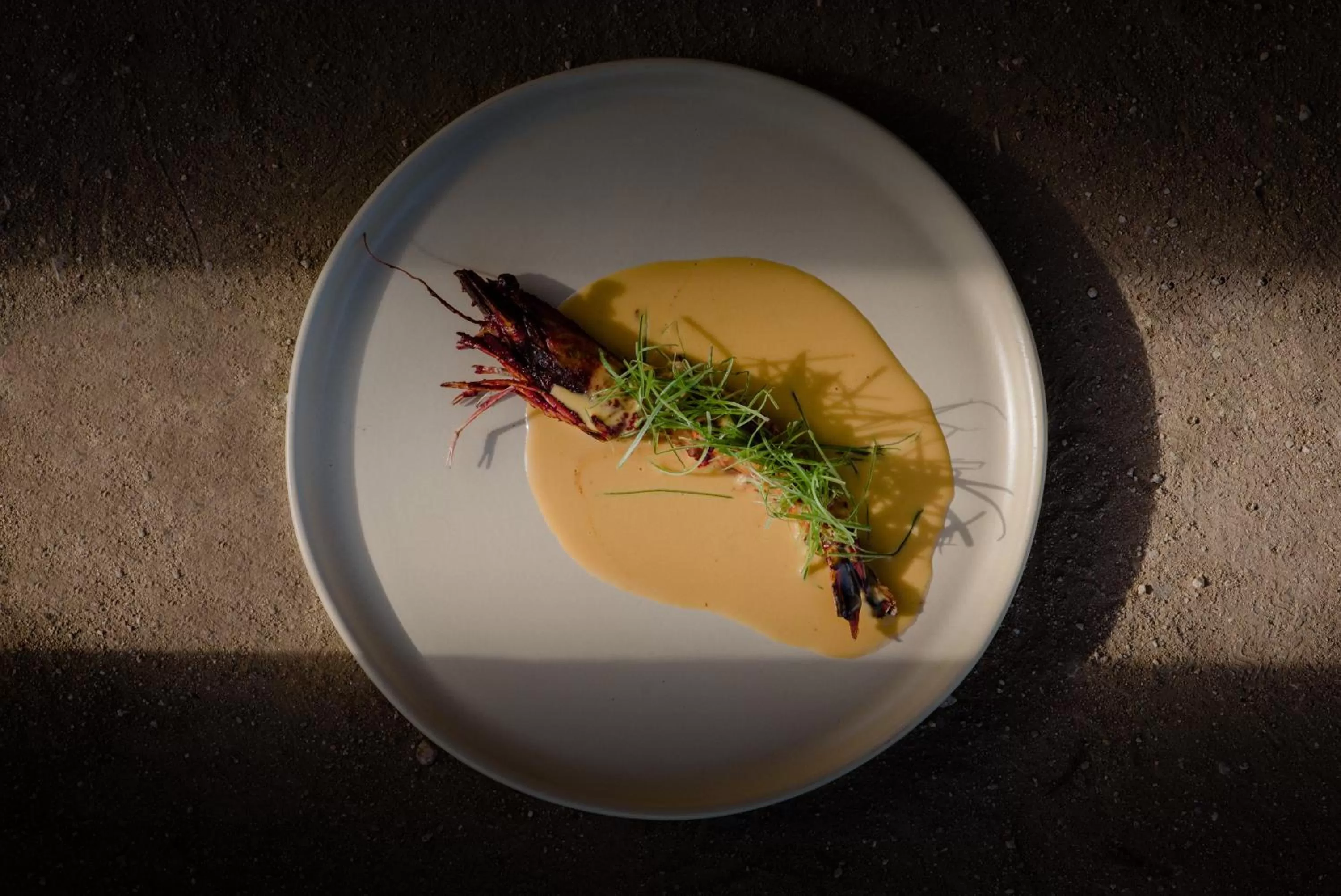 Restaurant/places to eat in Paradero Todos Santos - Exclusive experiences included