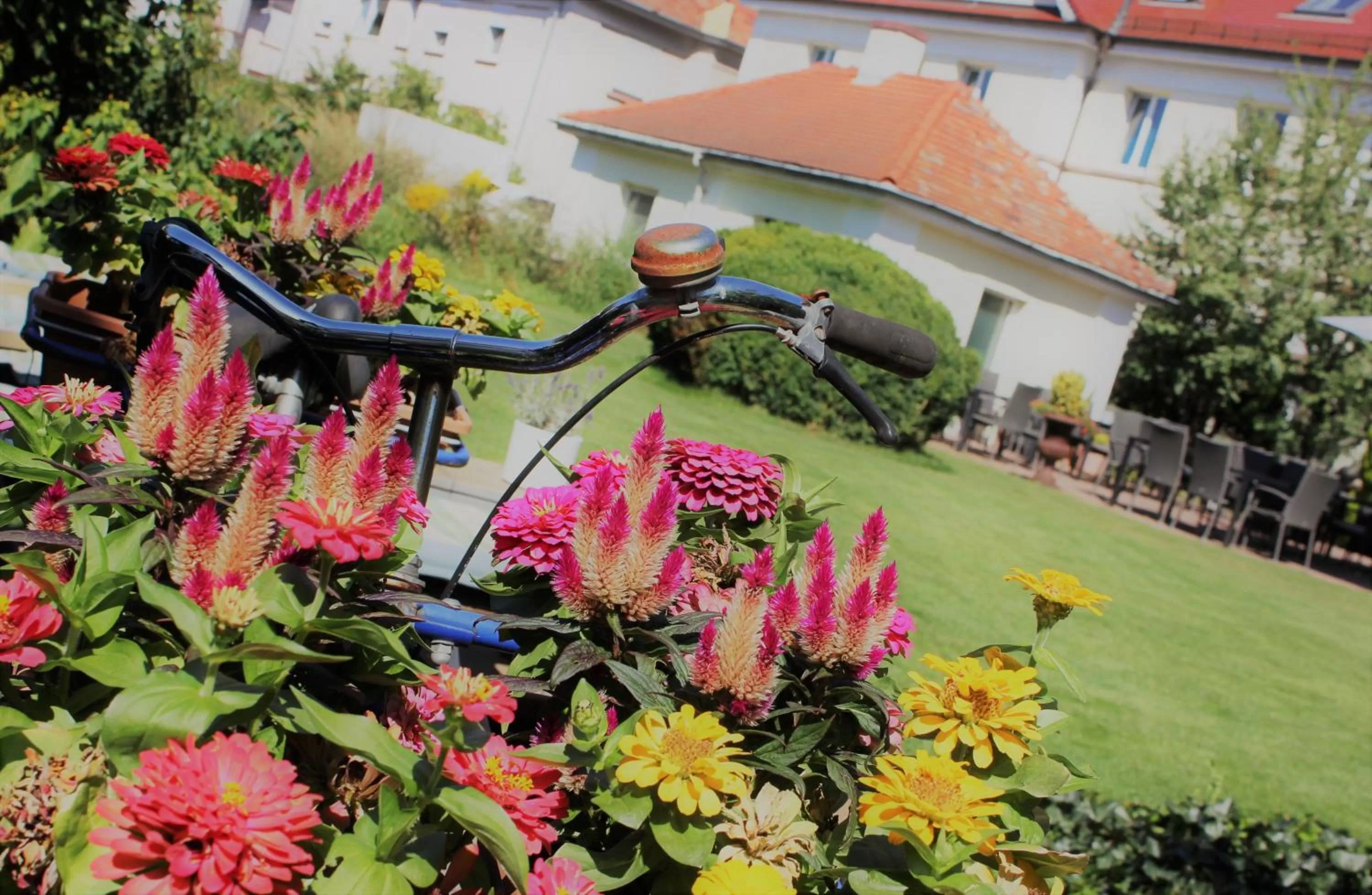 Garden in Hotel Germersheimer Hof