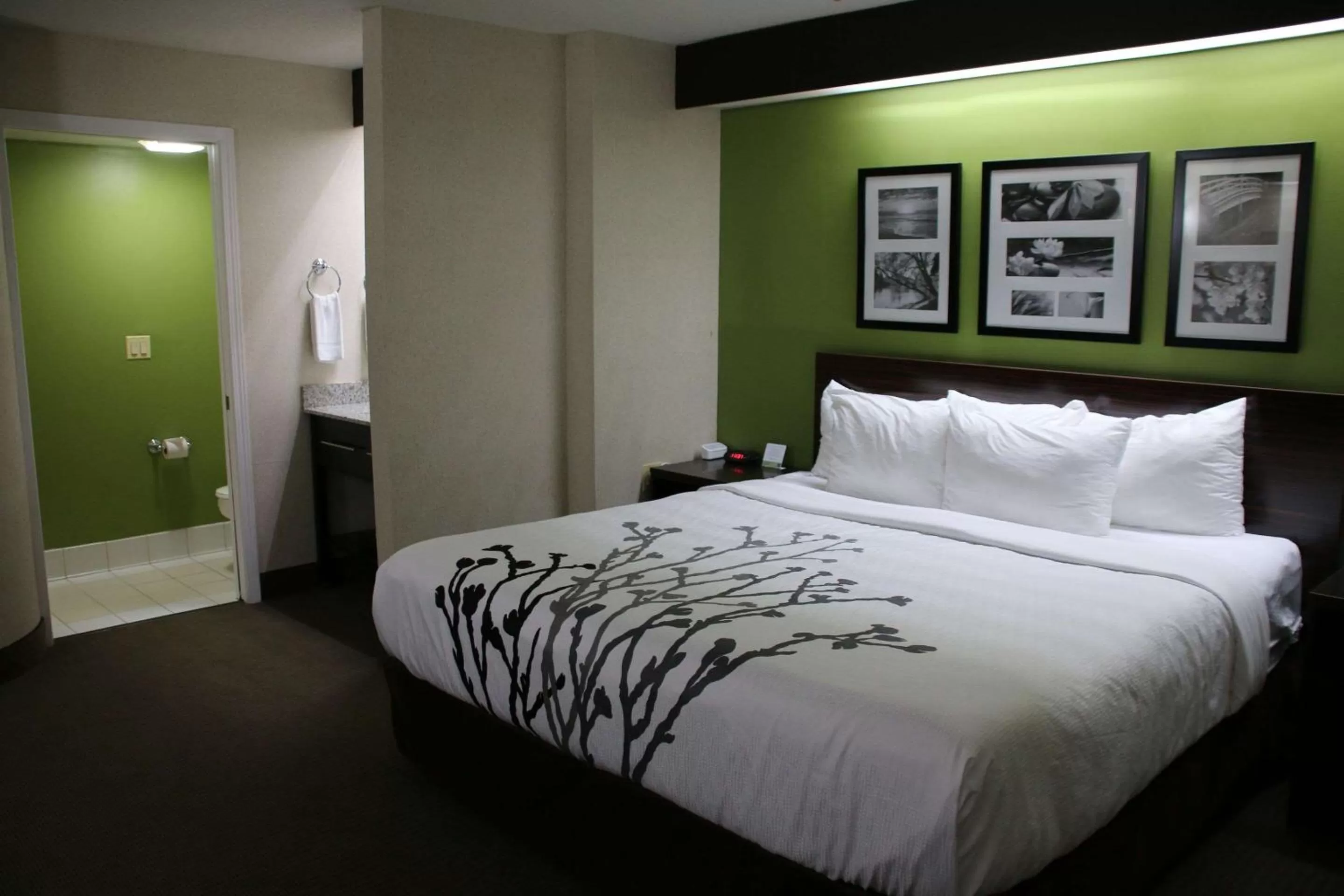 Photo of the whole room, Bed in Sleep Inn near Great Lakes Naval Base