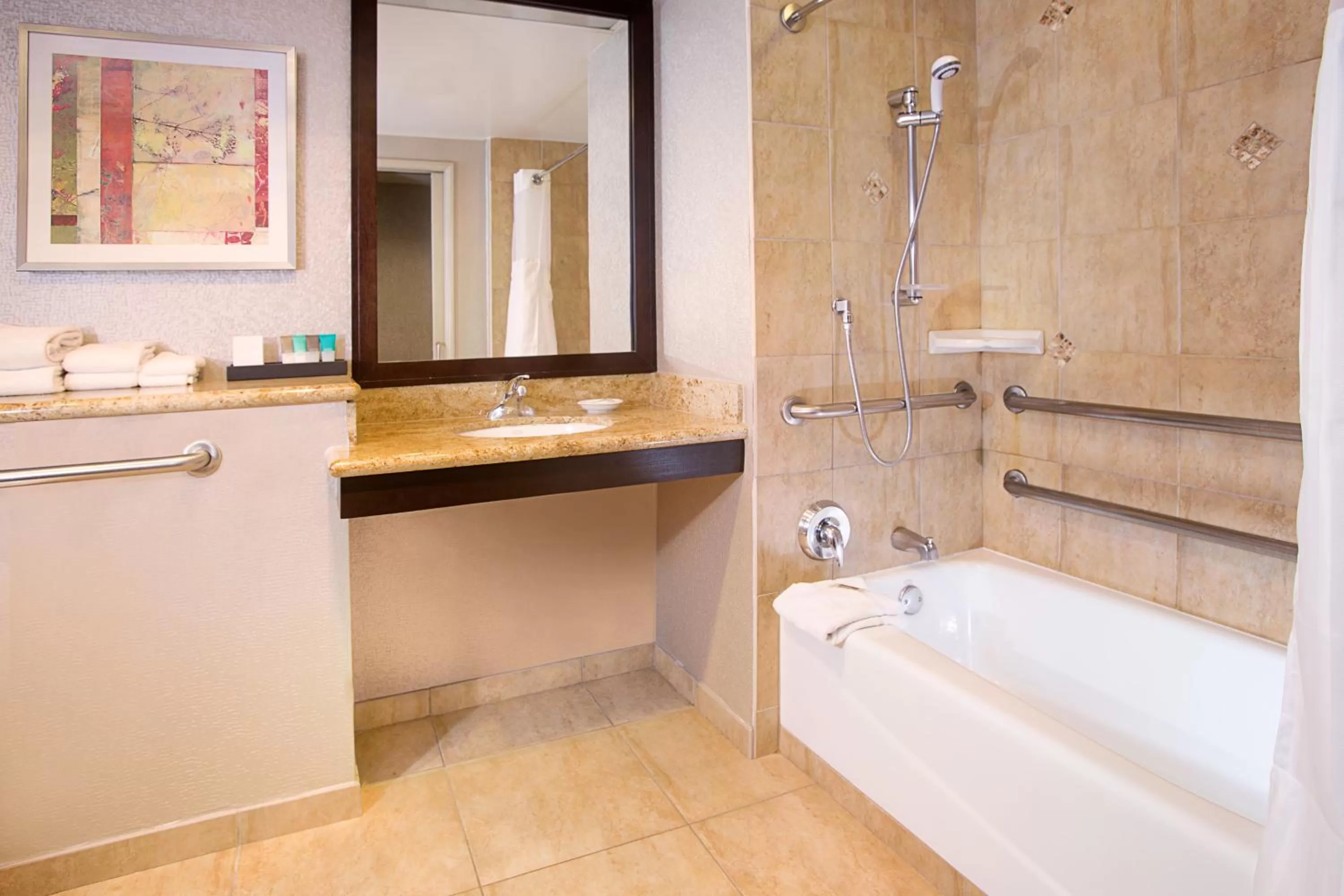 King Suite with Accessible Tub - Disability Access in Hyatt Palm Springs