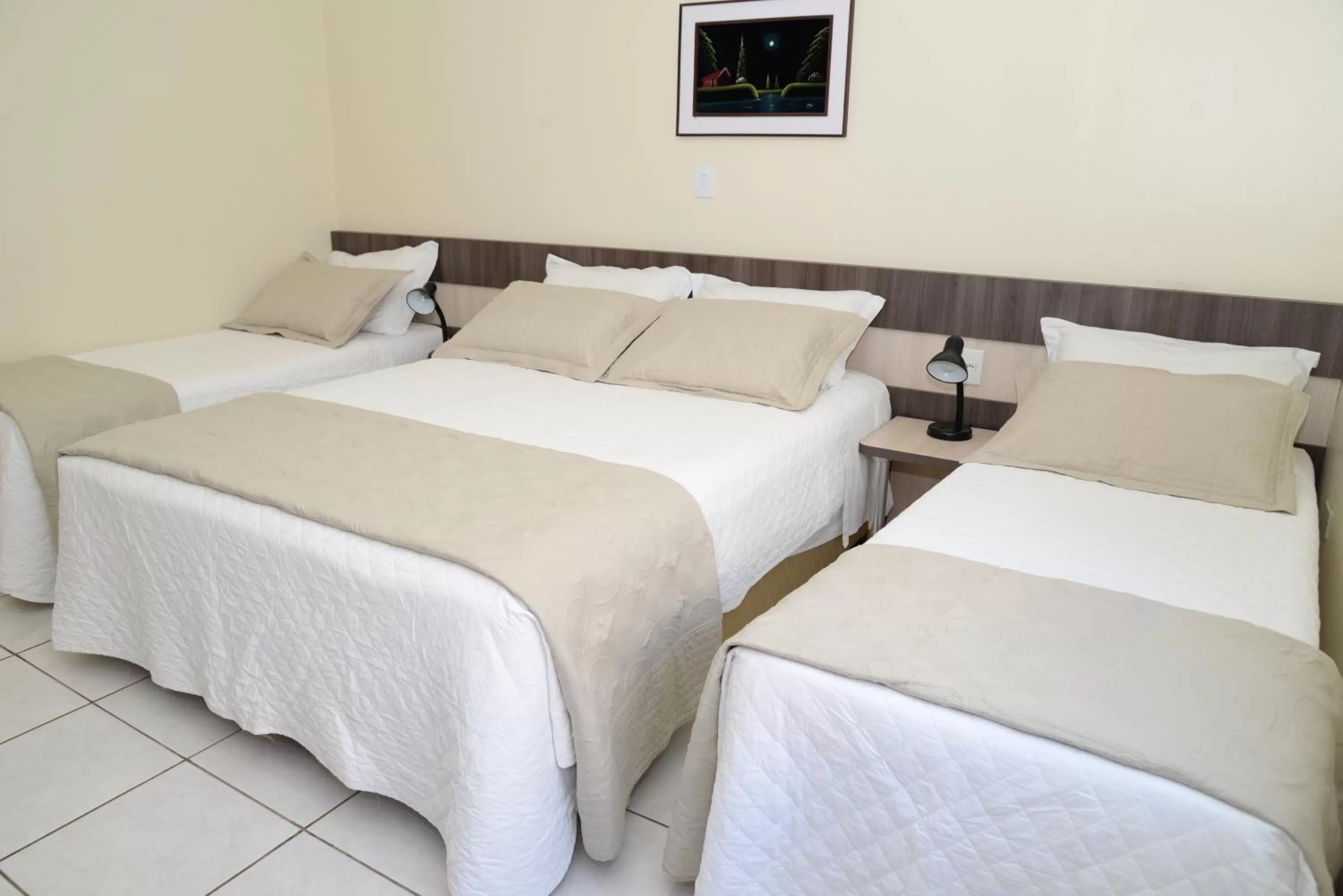 Palace Hotel Guaíra