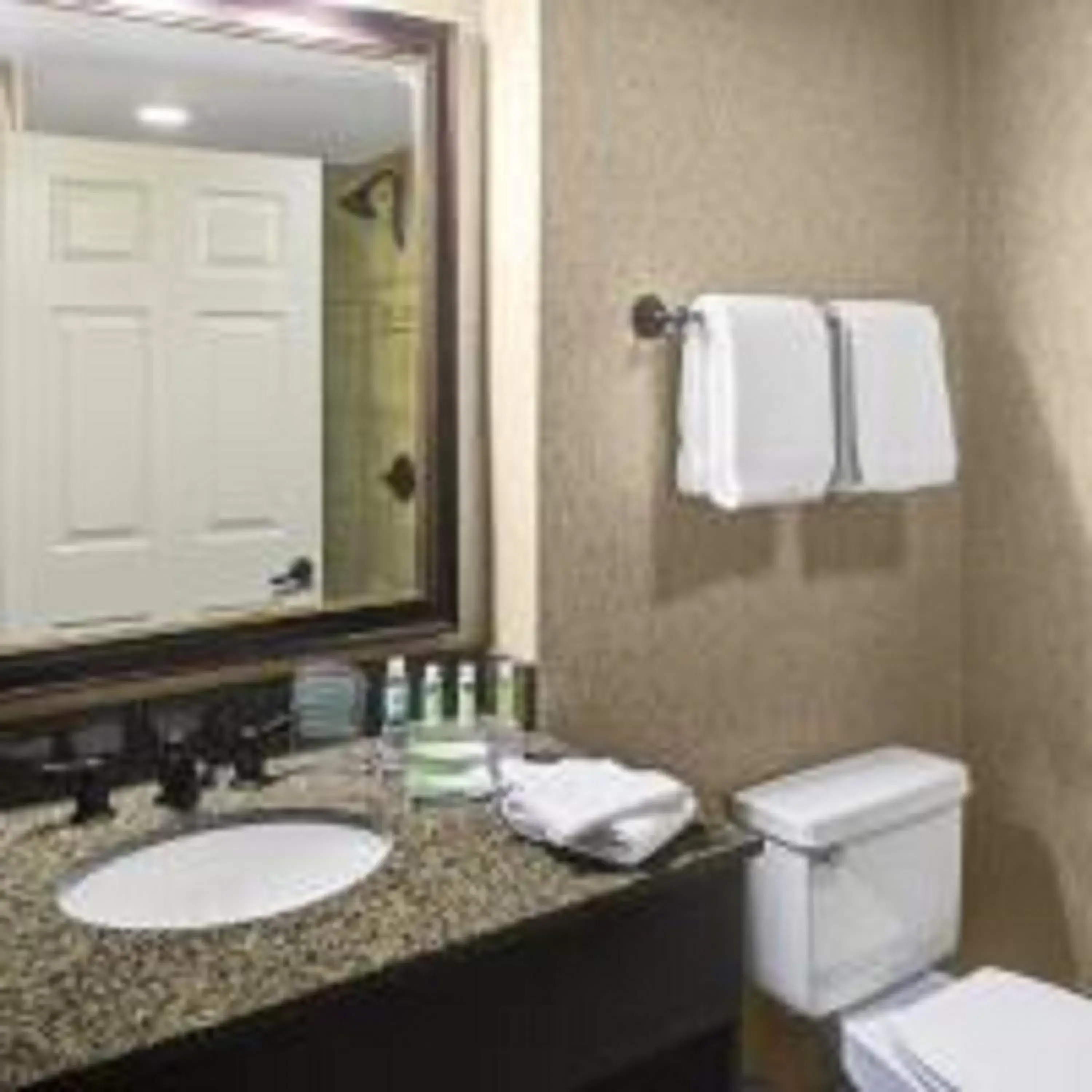 Suite - Mobility Access Roll in Shower/Non-Smoking in Holiday Inn Express Hotel & Suites Atlanta Buckhead by IHG Suite - Mobility Access Roll in Shower/Non-Smoking in Holiday Inn Express Hotel & Suites Atlanta Buckhead by IHG