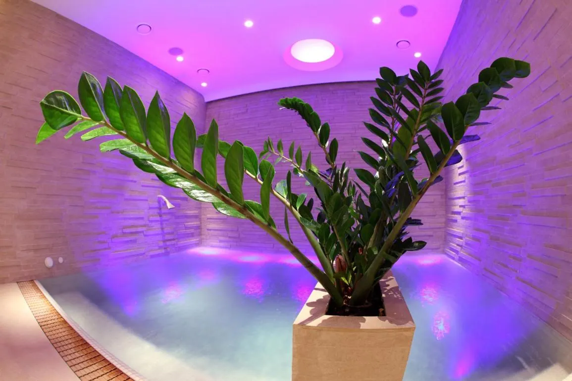 Spa and wellness centre/facilities in HR Hotel & Spa