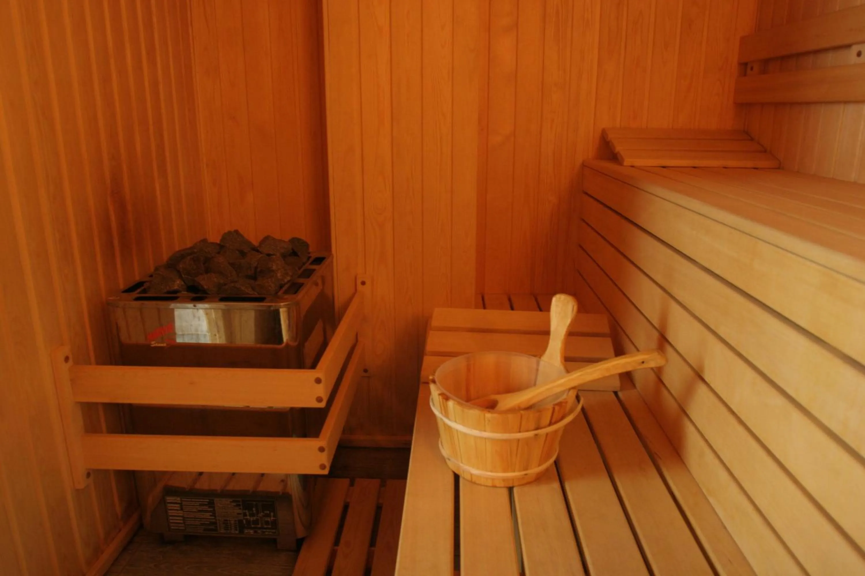 Sauna in Evelina Palace Hotel