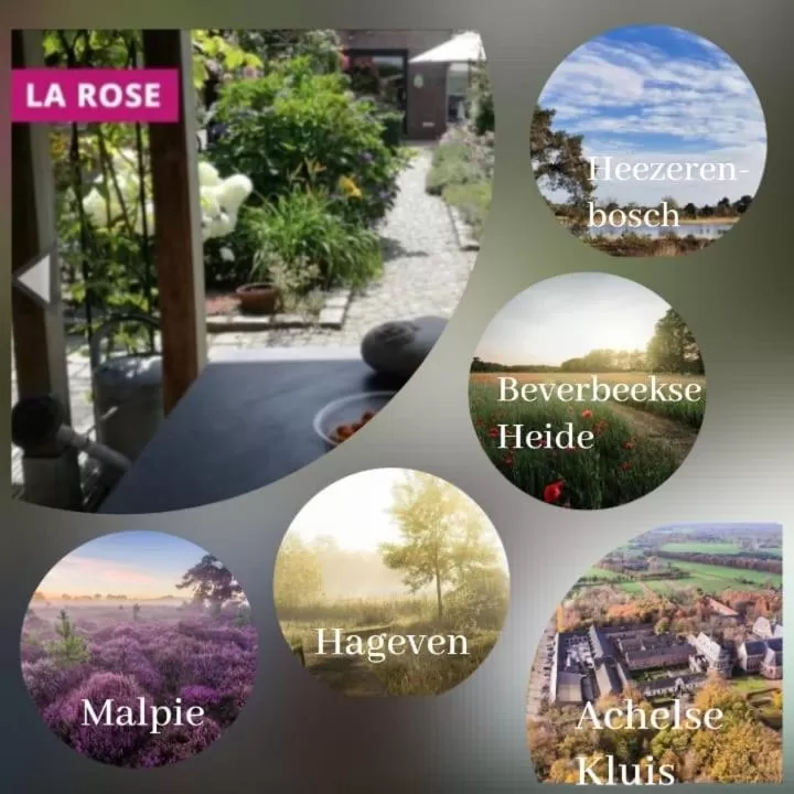 Area and facilities in La Rose