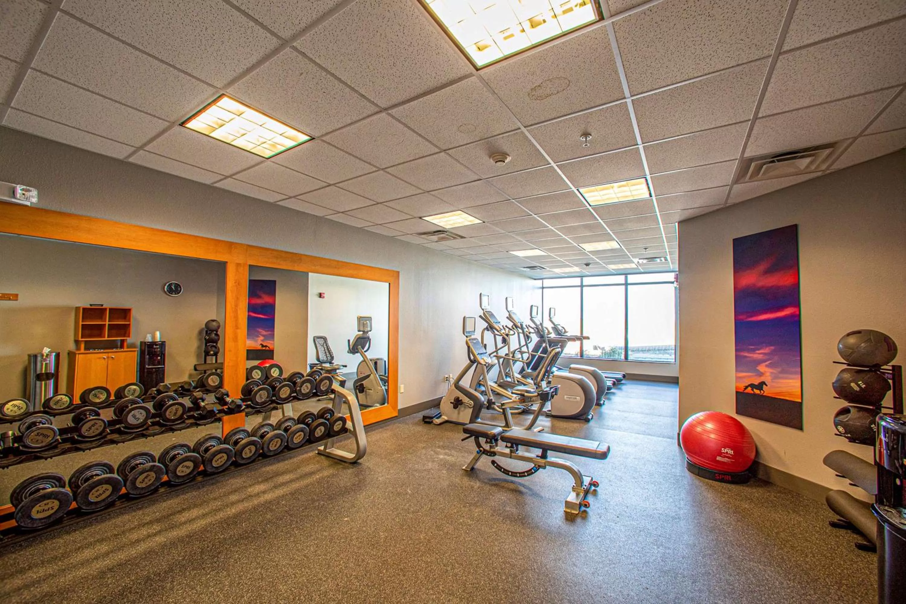 Fitness centre/facilities in Hilton Garden Inn Rapid City
