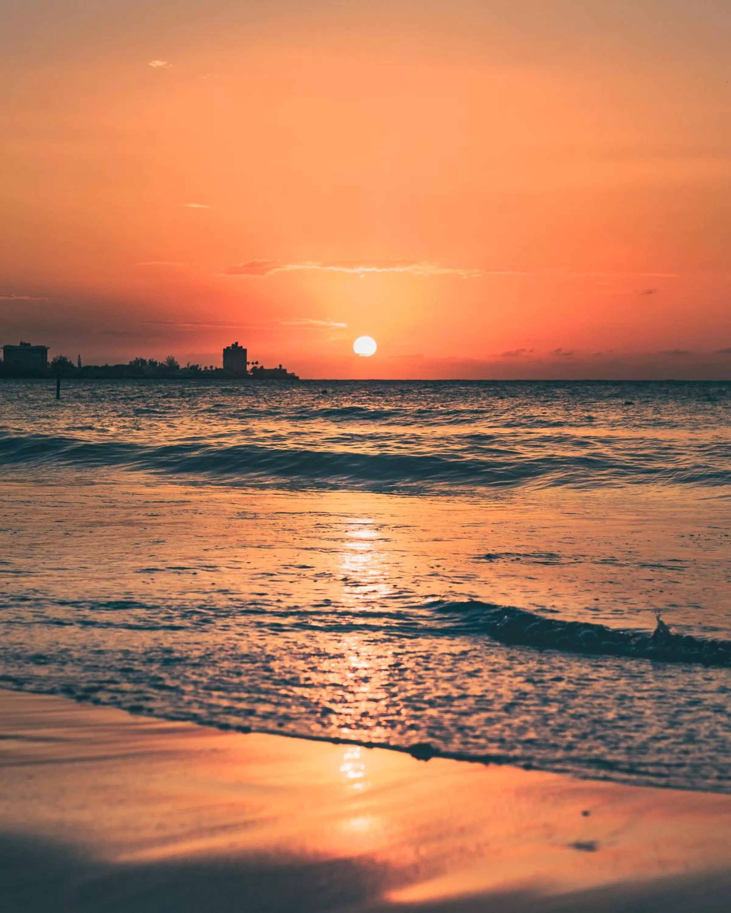 Natural landscape in ESJ Towers by Chana