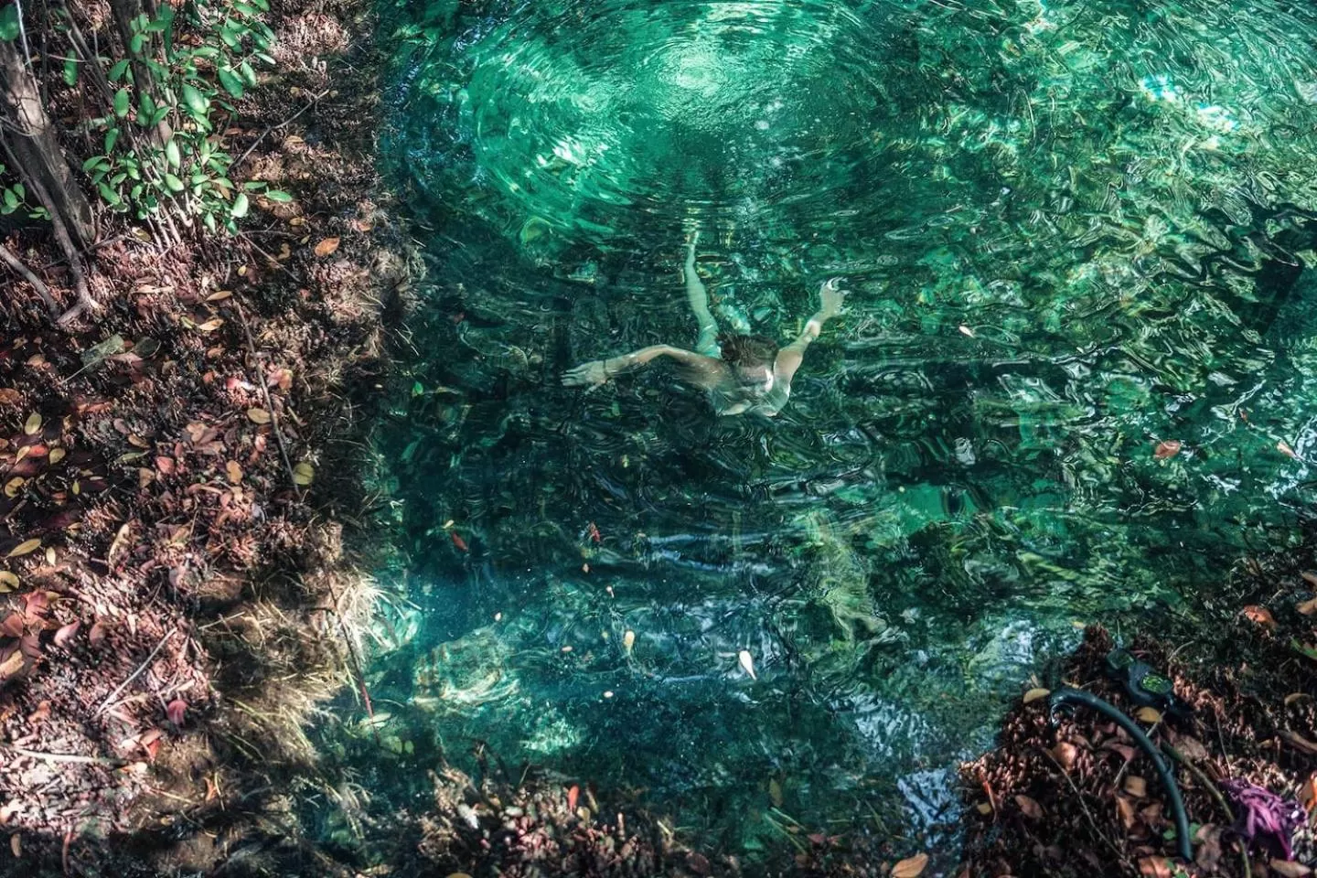 Snorkeling in Hidden Treehouse Tulum Eco-Hotel