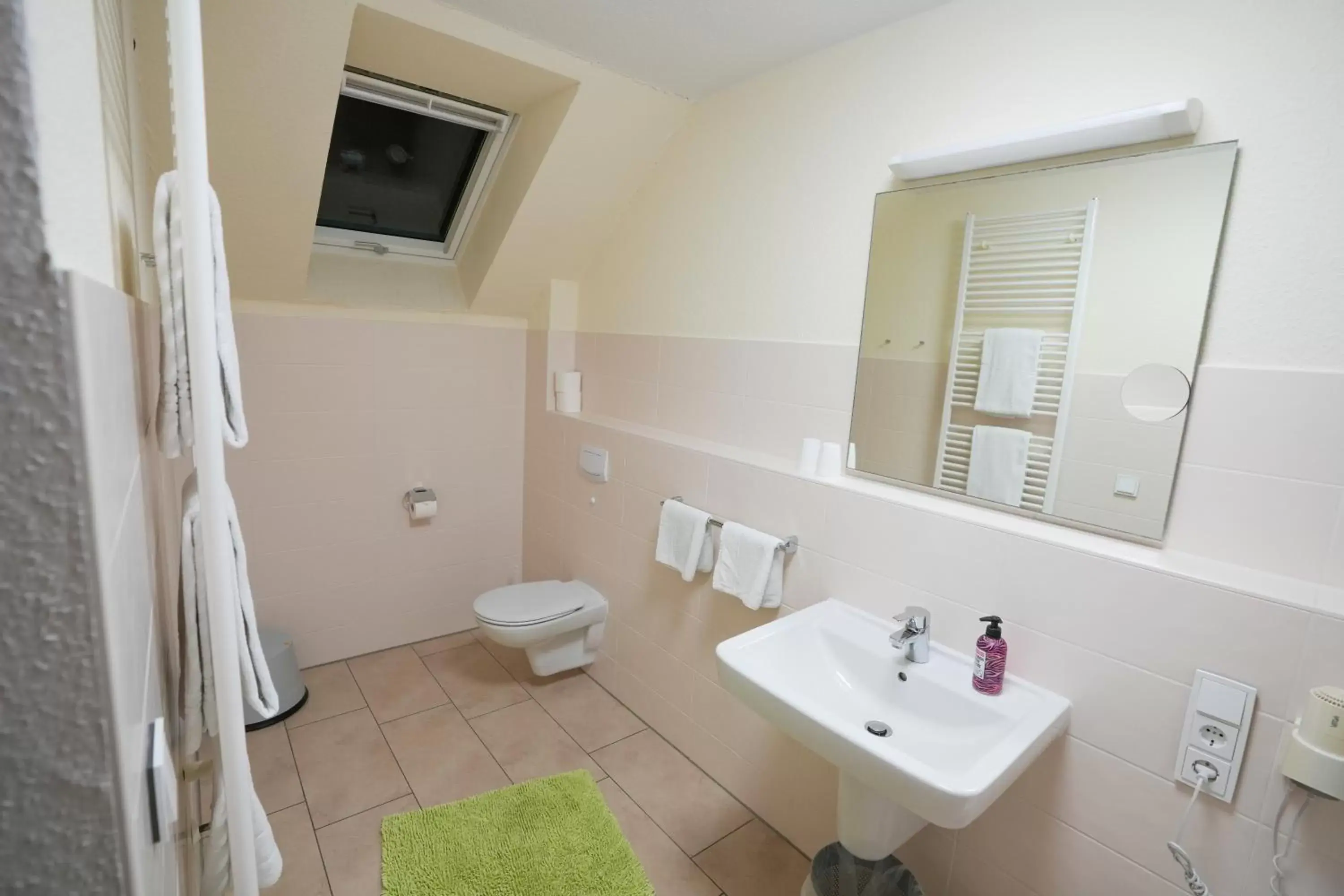 Suite - single occupancy in Hotel Lingemann Suite - single occupancy in Hotel Lingemann