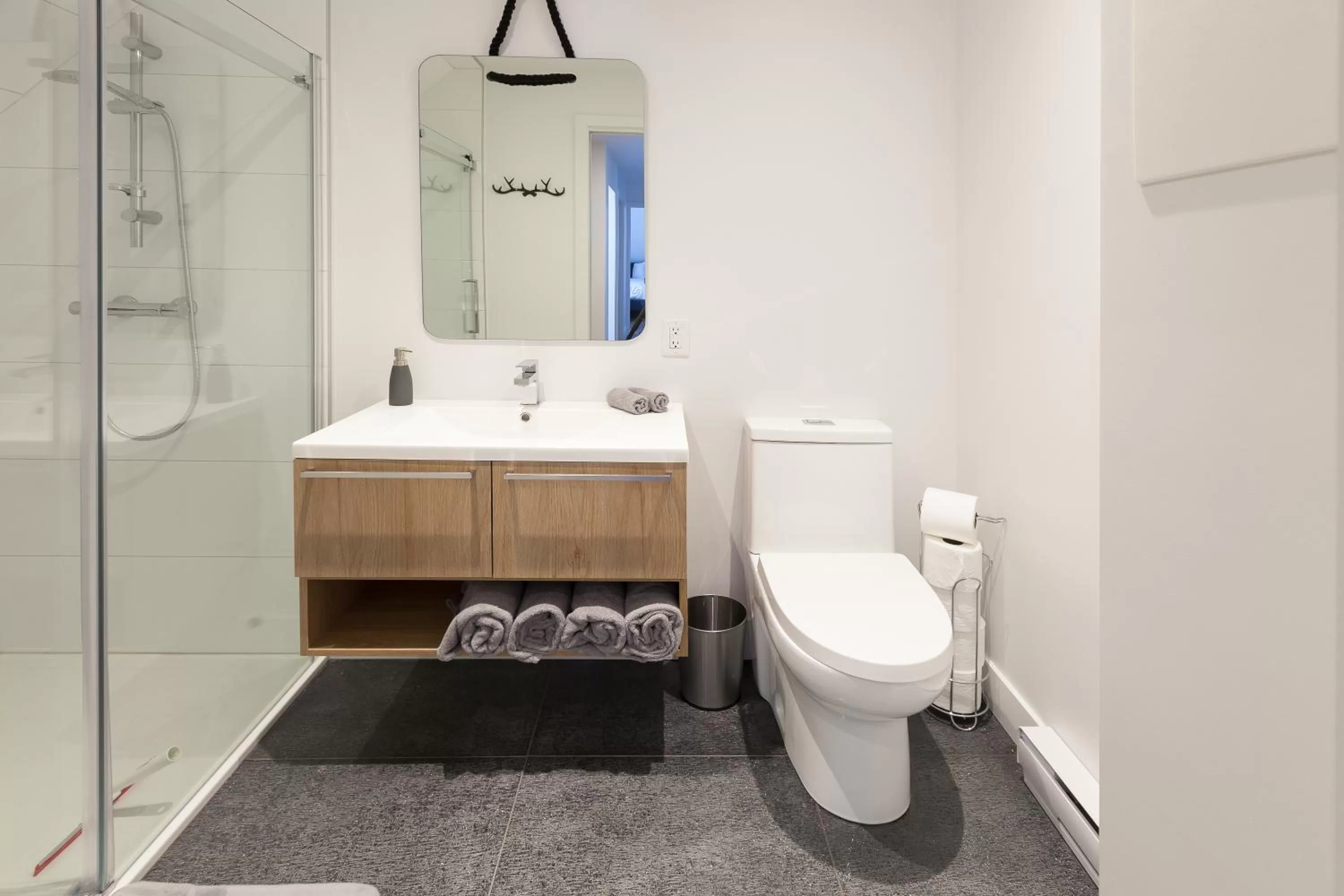 One-Bedroom Apartment in Les Lofts Ste-Anne