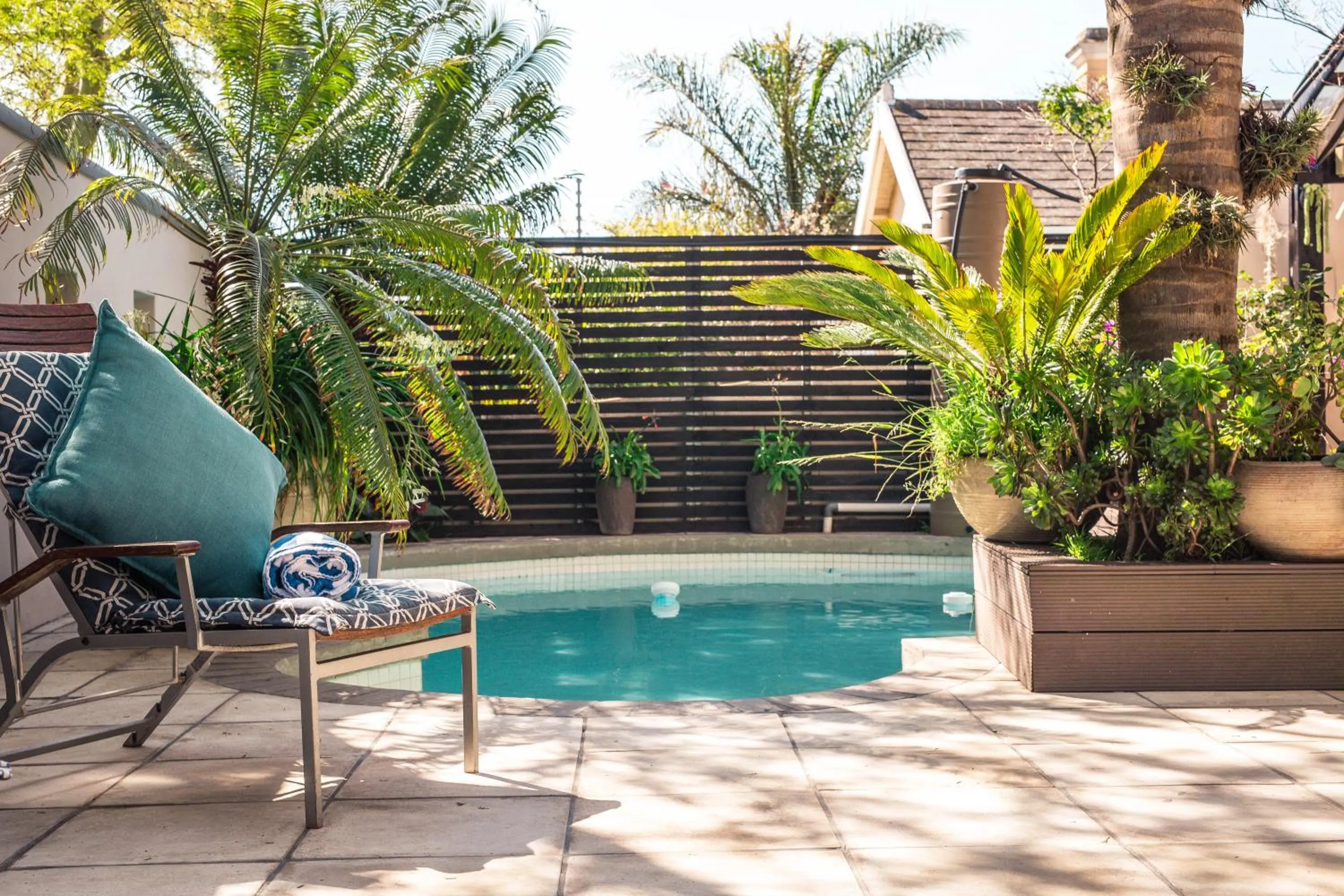 Pool view in Point B Guest House -Sustainable Solar Energy