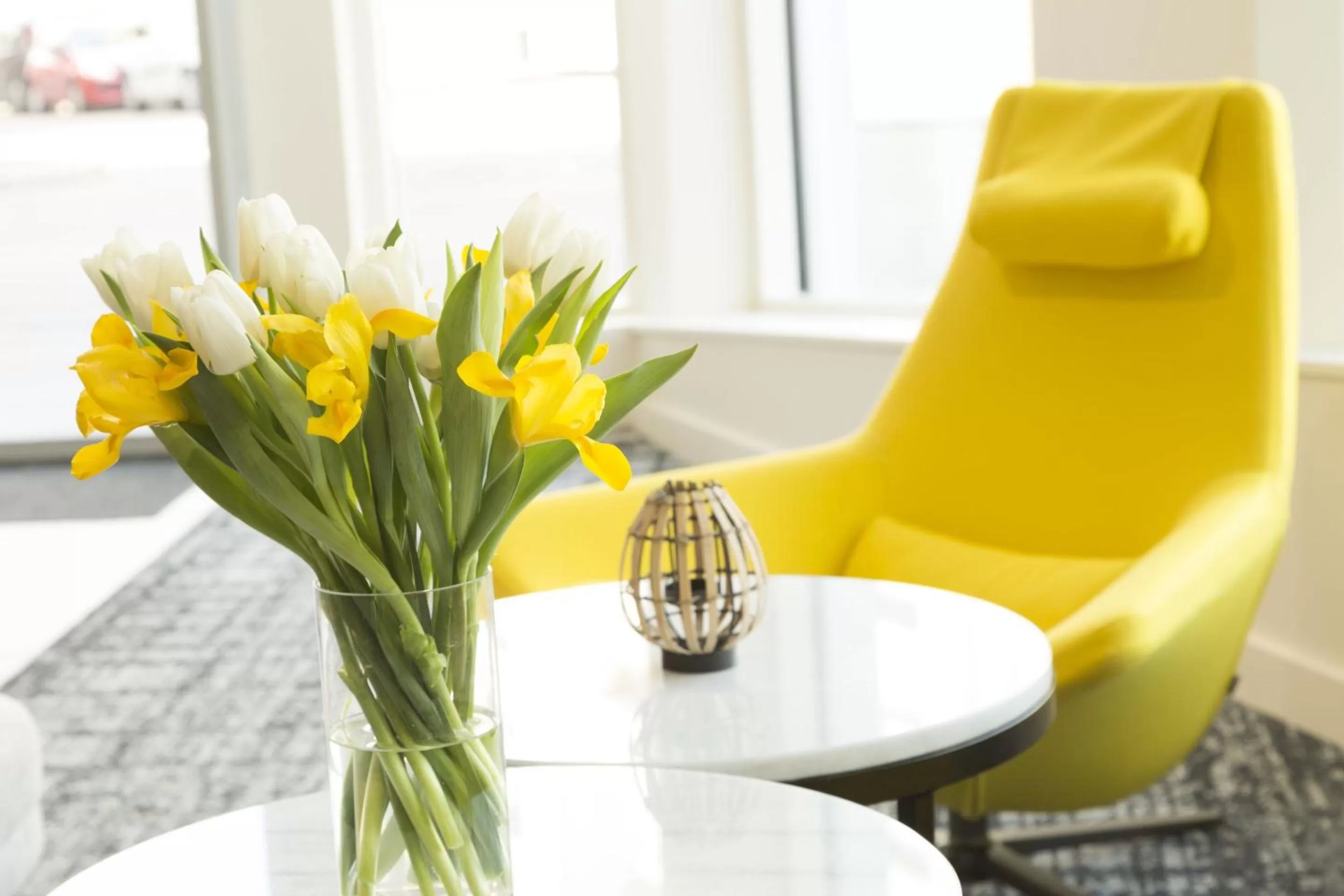 Area and facilities in Appart'hôtel Odalys City - Le Mans Centre Palais des Congrès