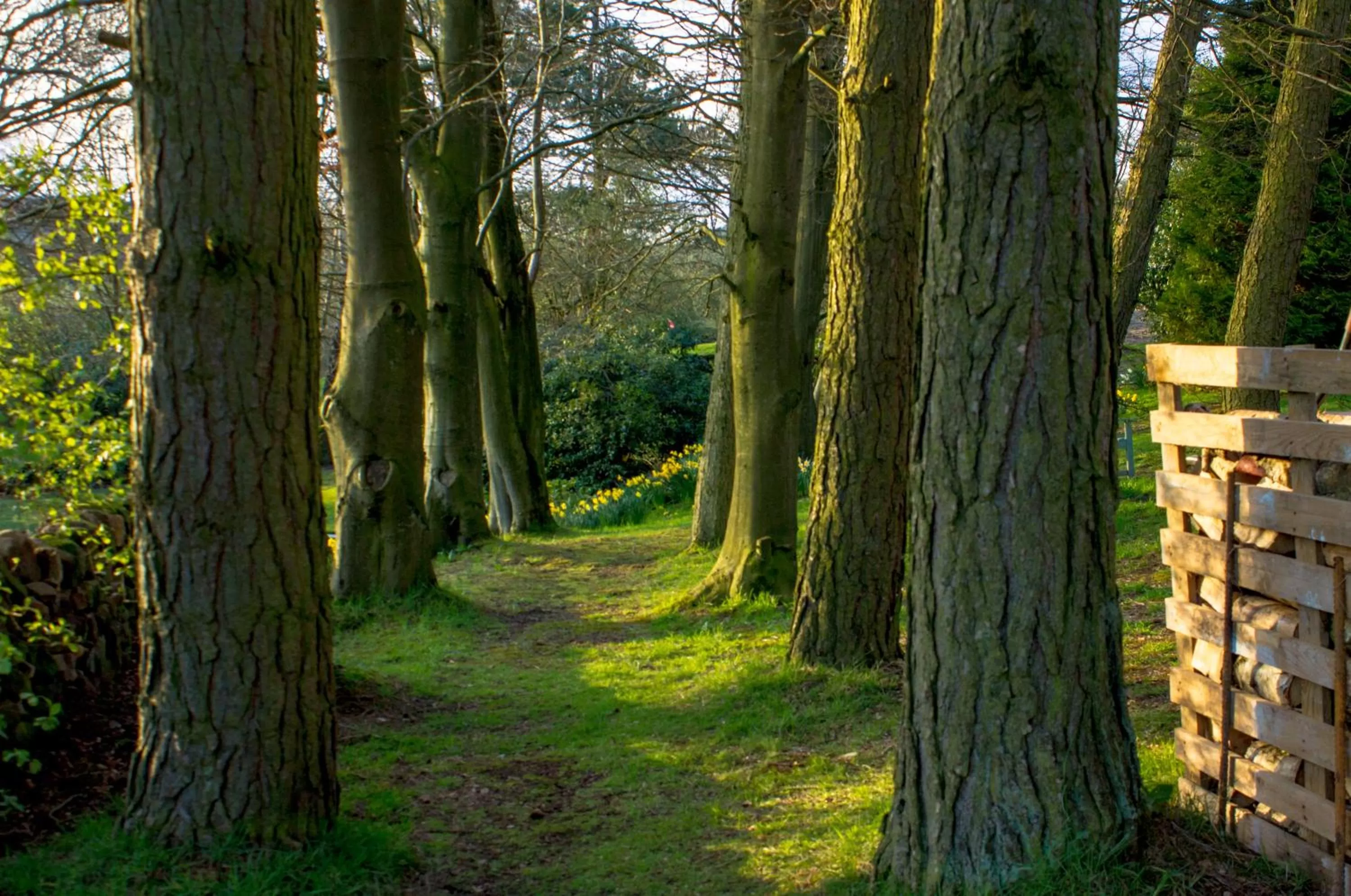 Garden in Robin Hood Farm B&B