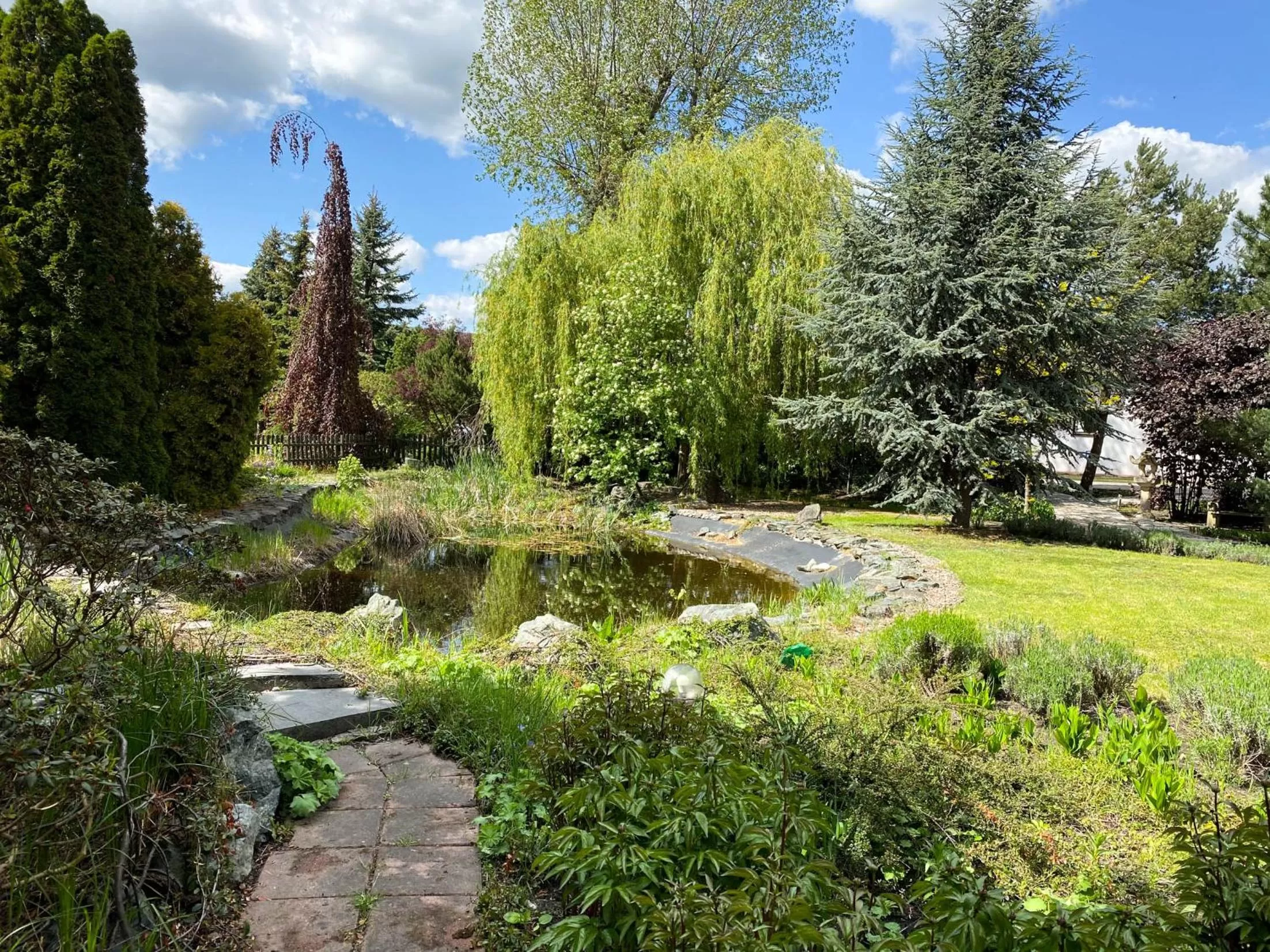 Garden in Hotel Garden