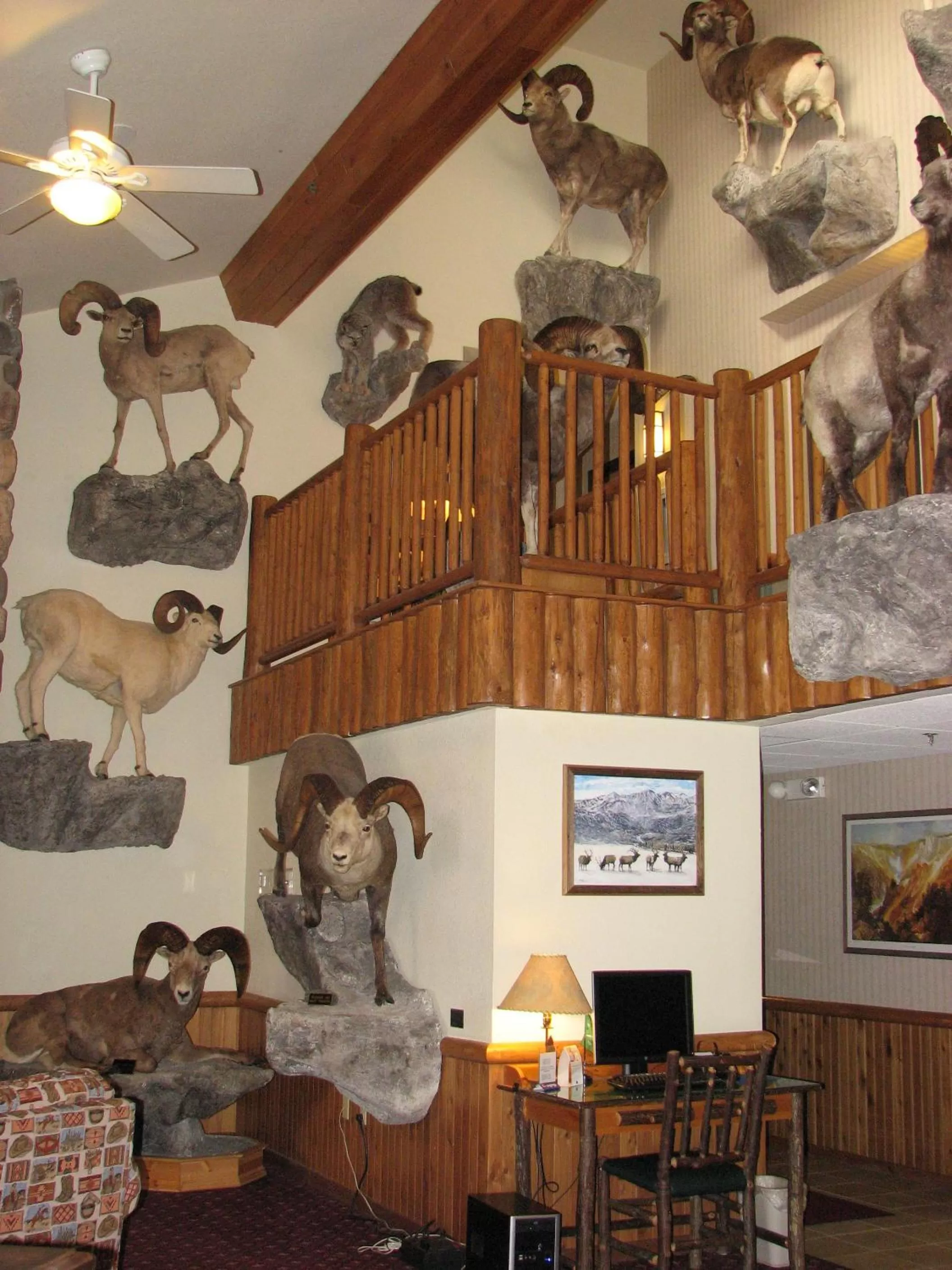 Lobby or reception in AmericInn by Wyndham Cody