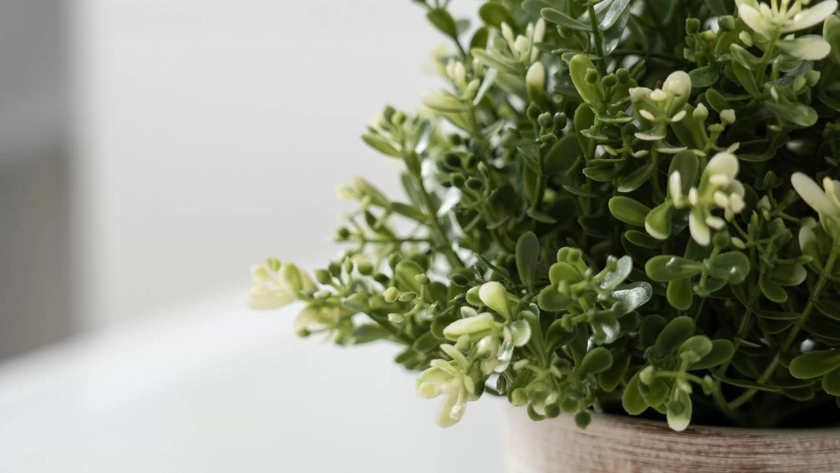 Decorative detail in De Heek