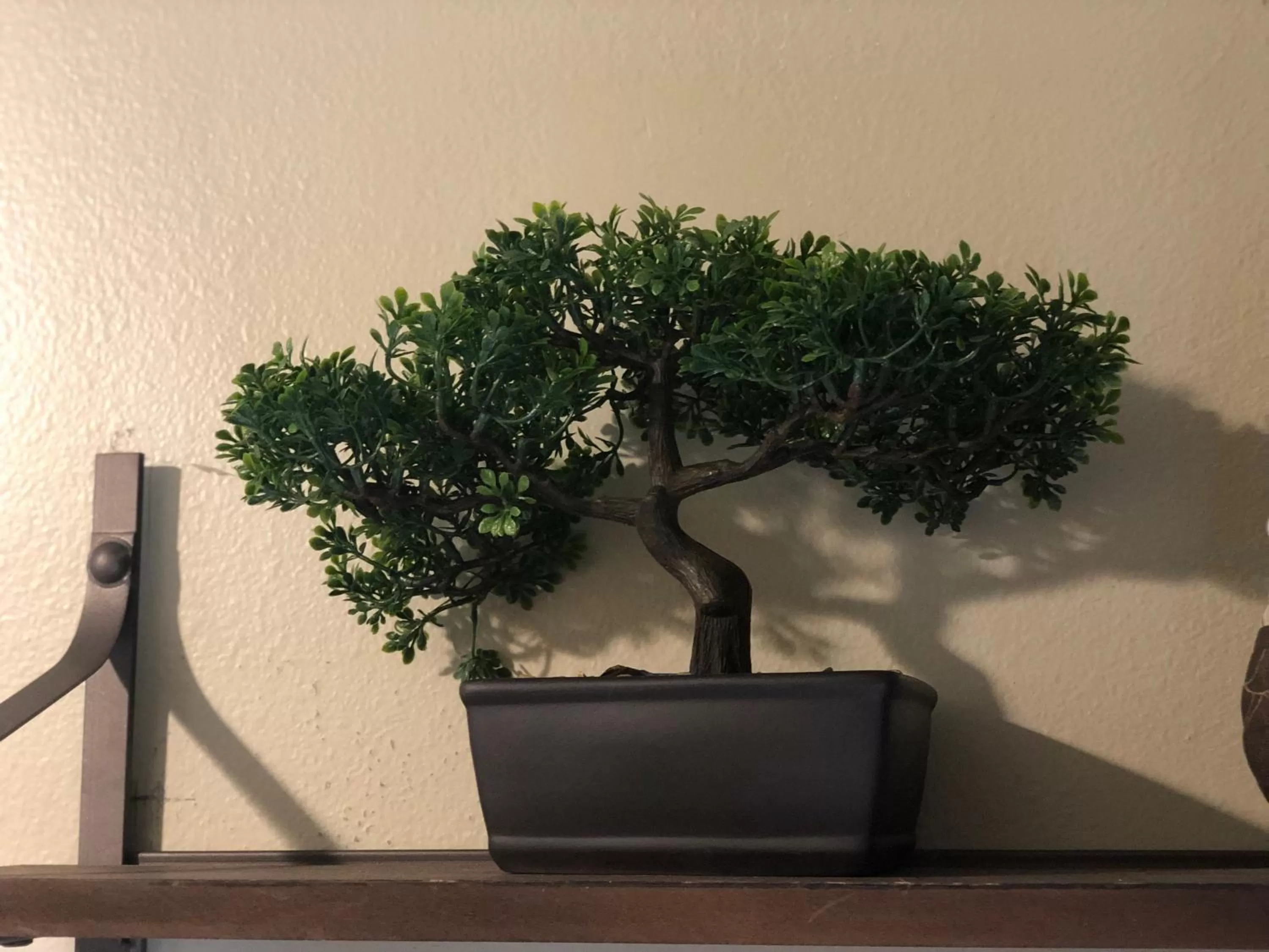 Living room in Hollywood Light Haven Lodge