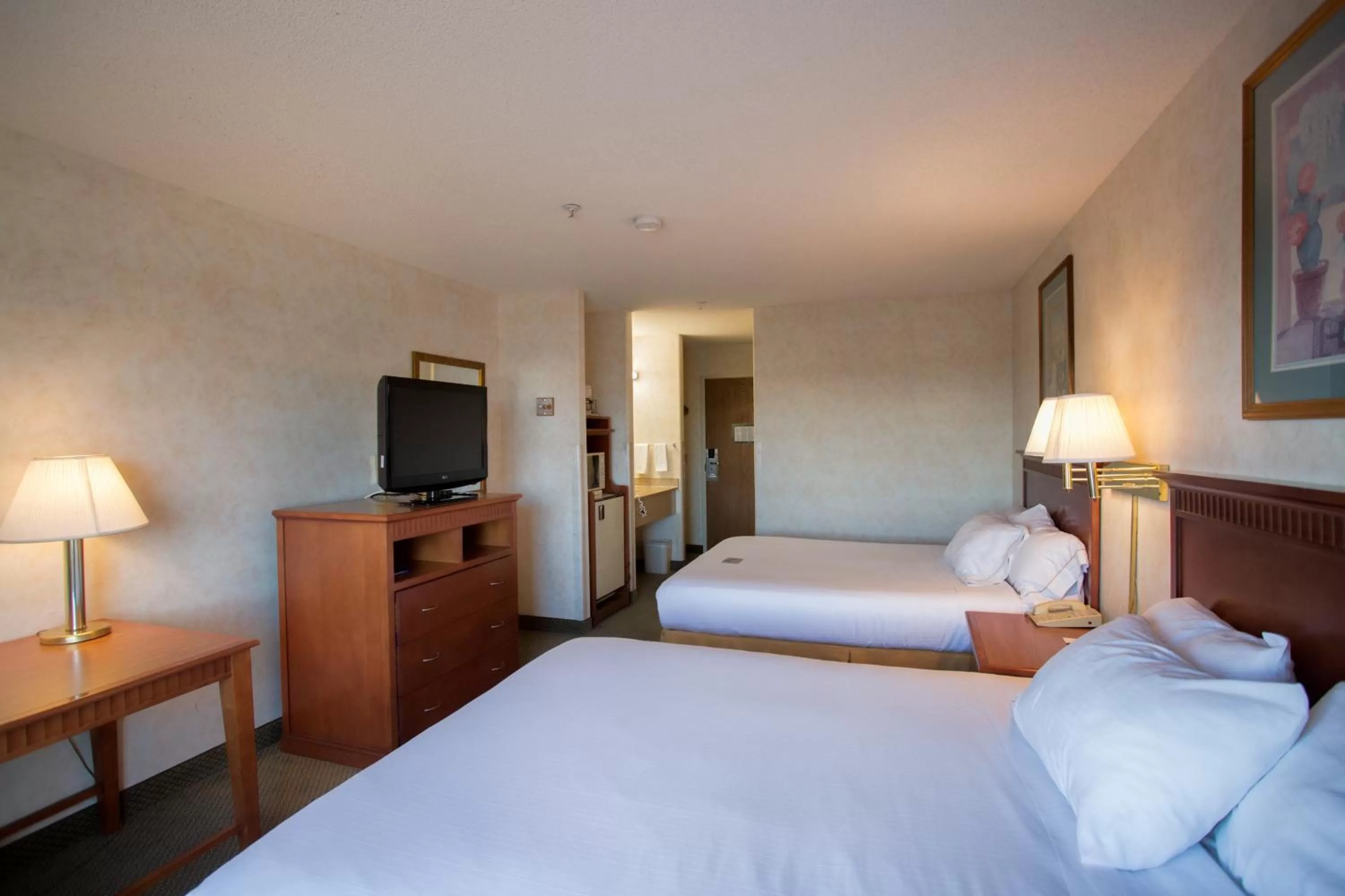 Photo of the whole room, Bed in Vagabond Inn Executive