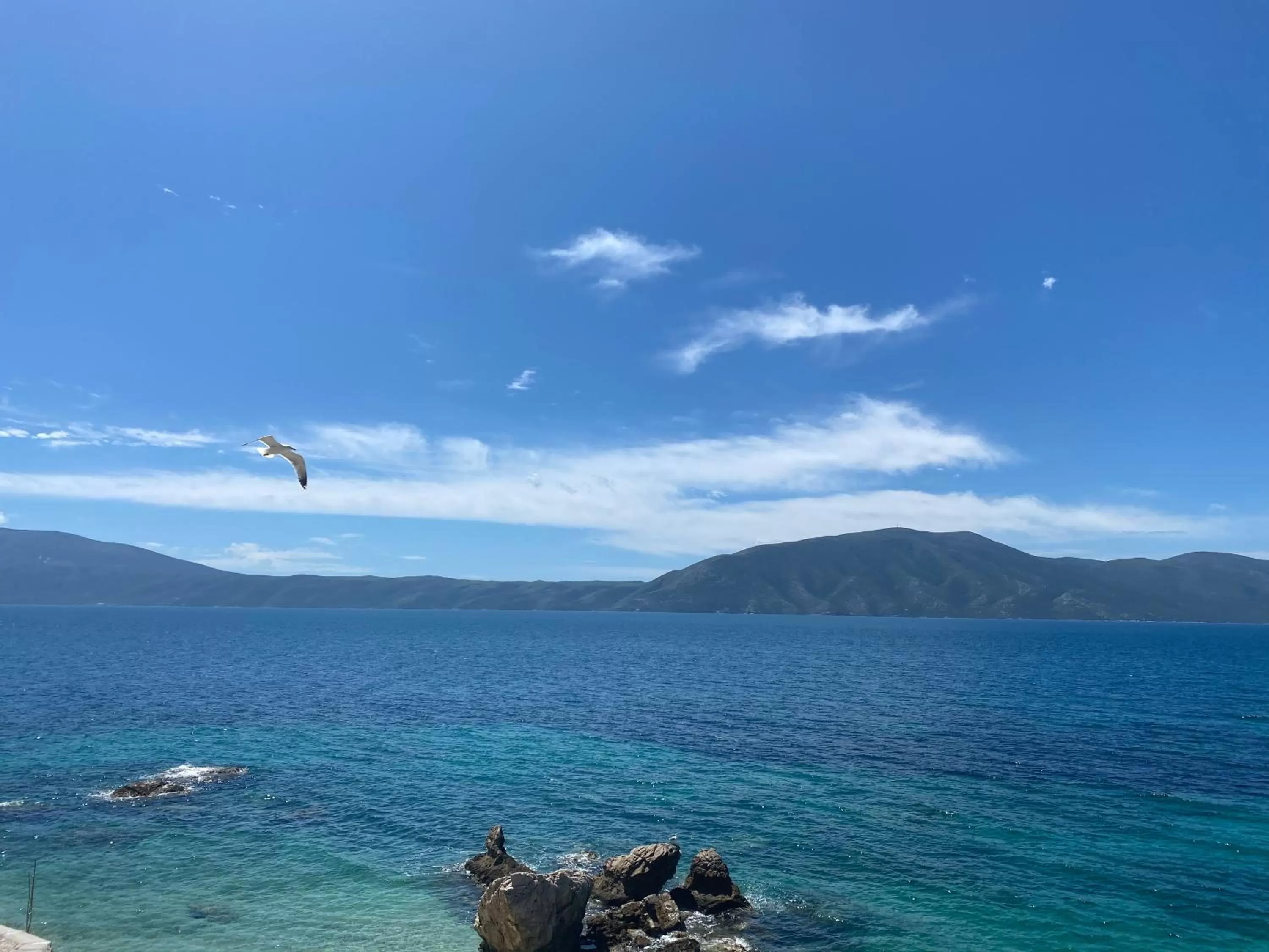 Vila Rahmi & Veli Dervishaj