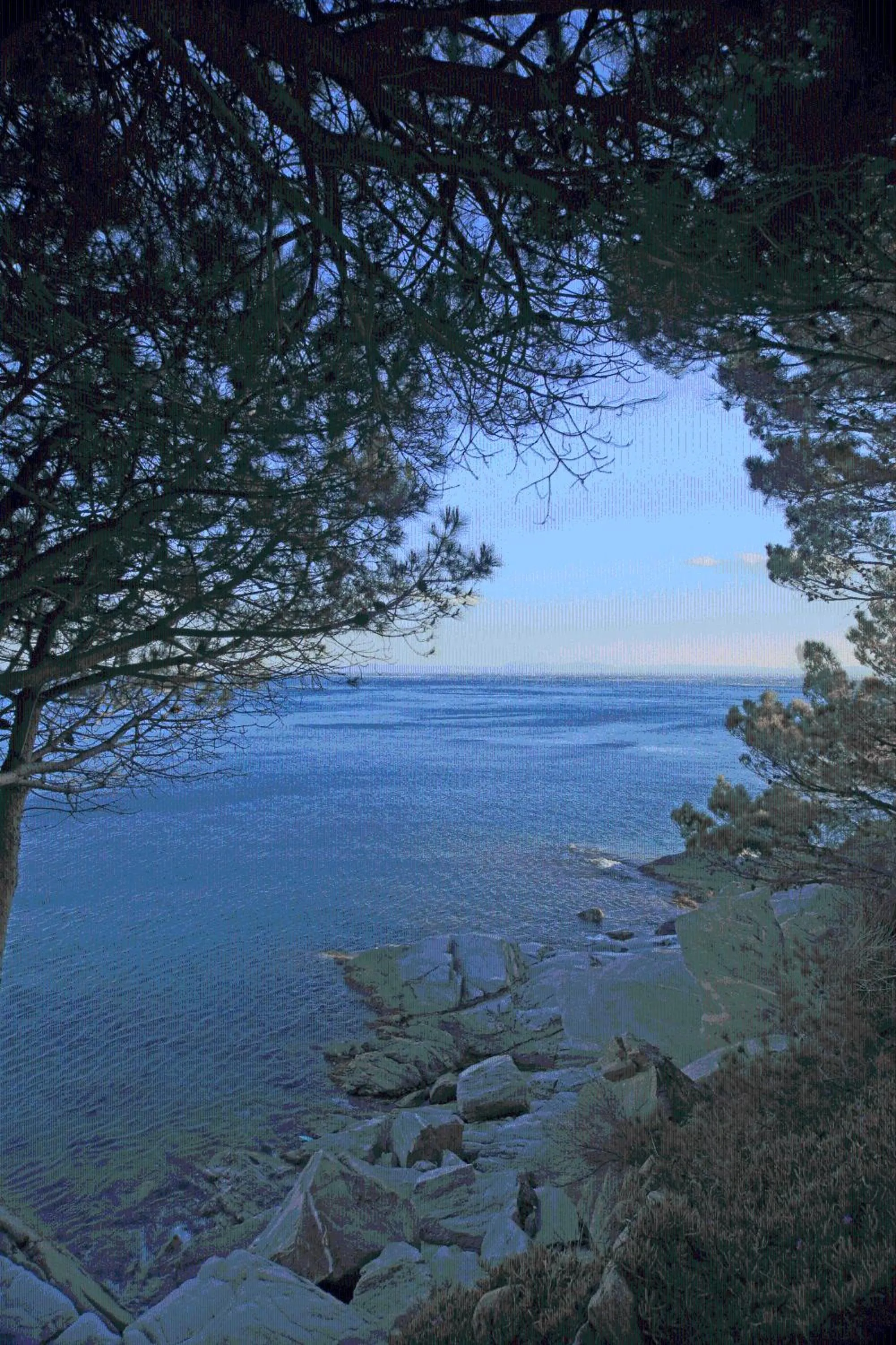 Nearby landmark in Canyelles Platja