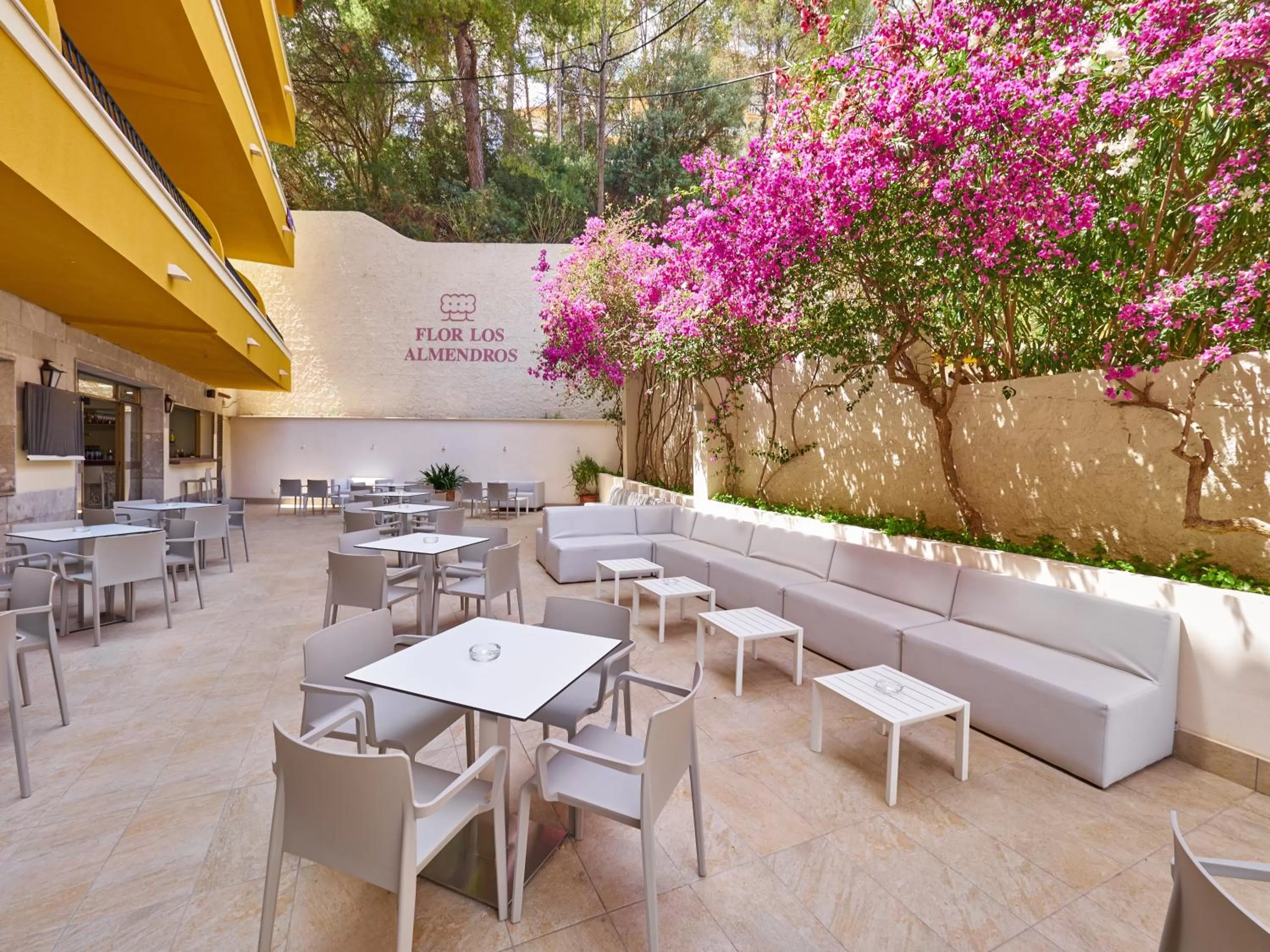 Day in FLOR los Almendros Hotel