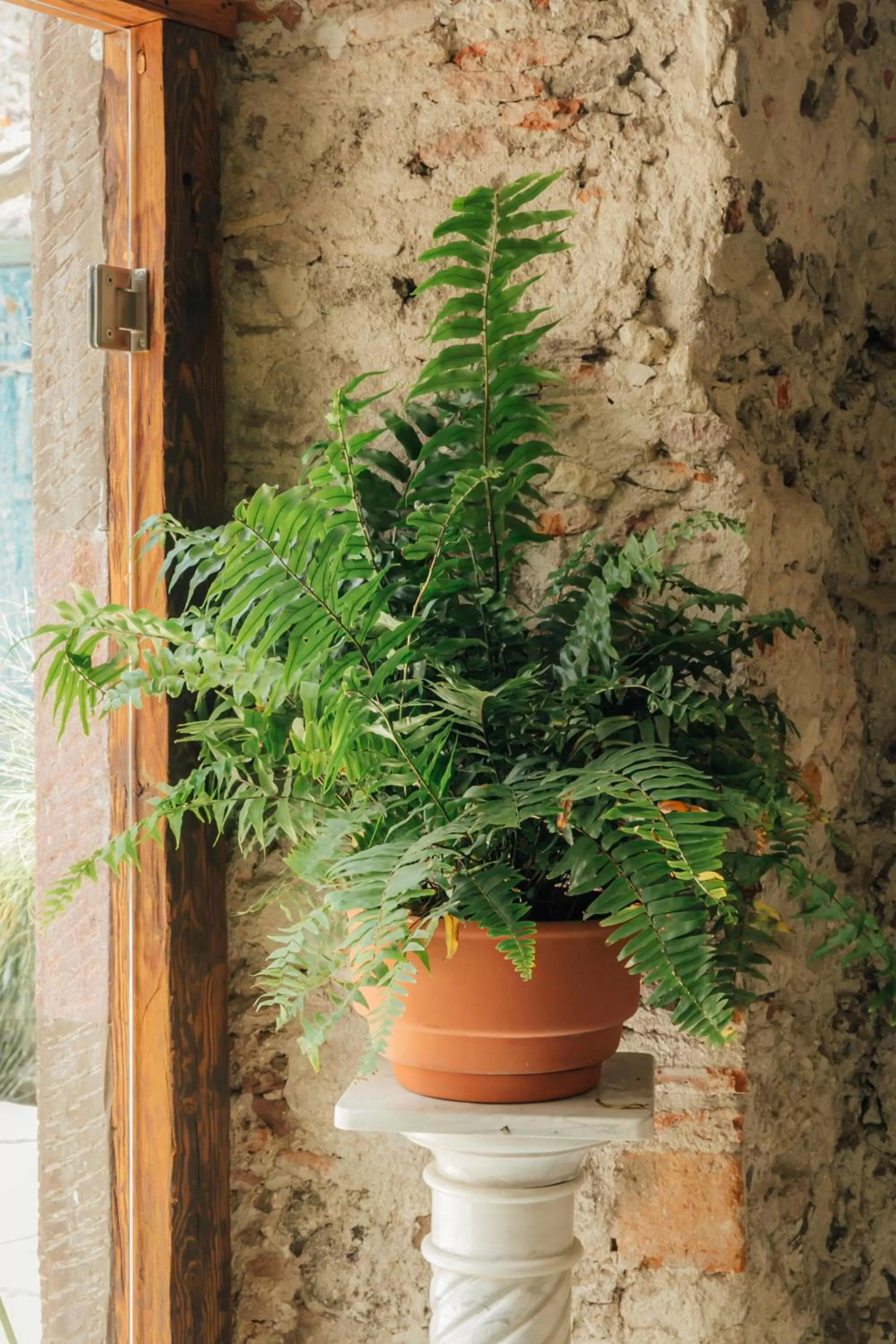Living room in Orchid House San Miguel de Allende