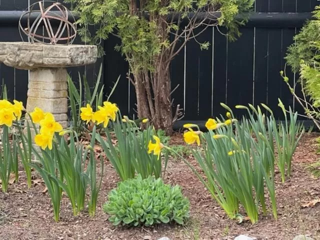 Garden in The Platinum Pebble Boutique Inn - Adults Only Property