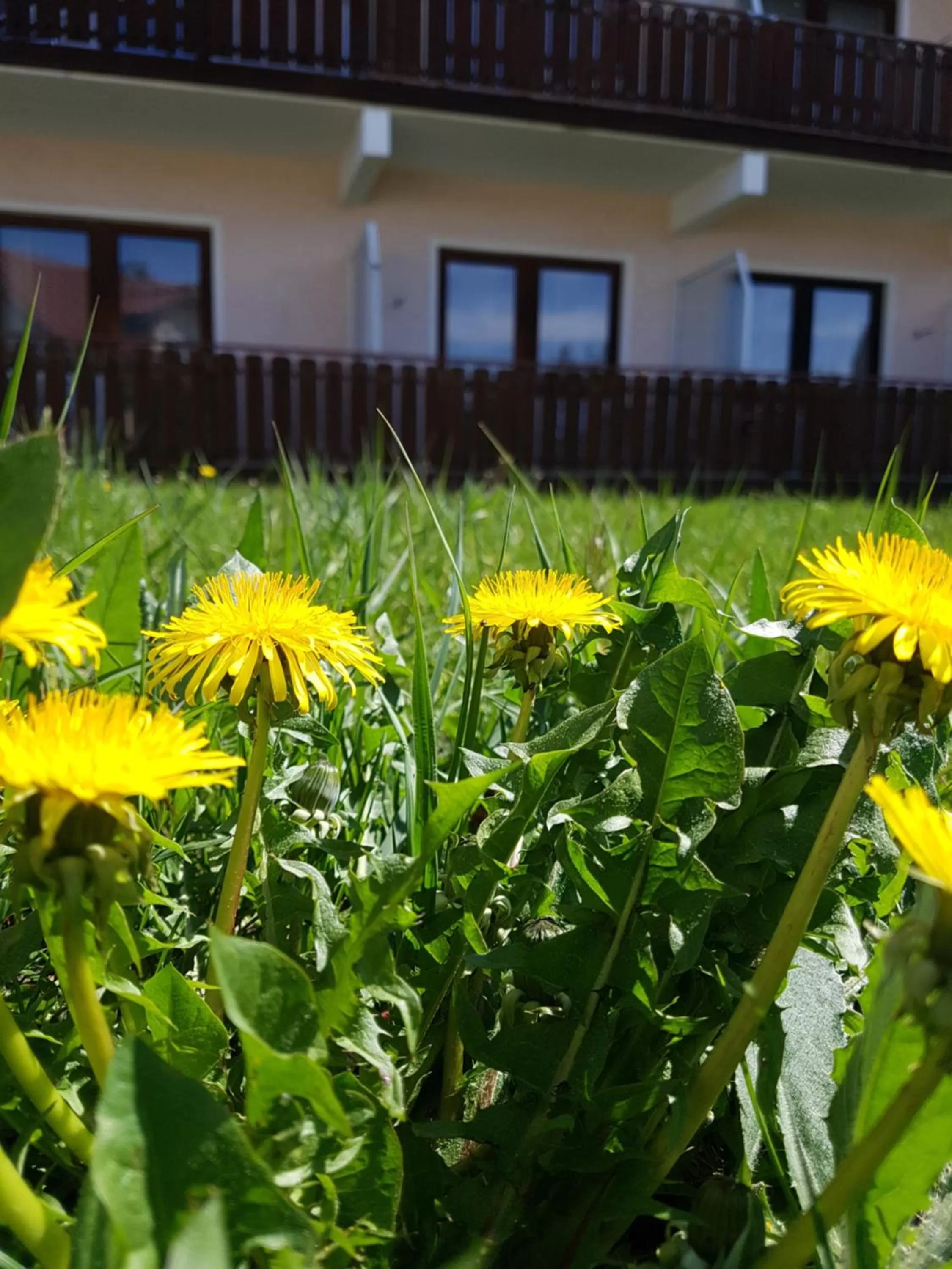 Cycling in Kurhotel Anders