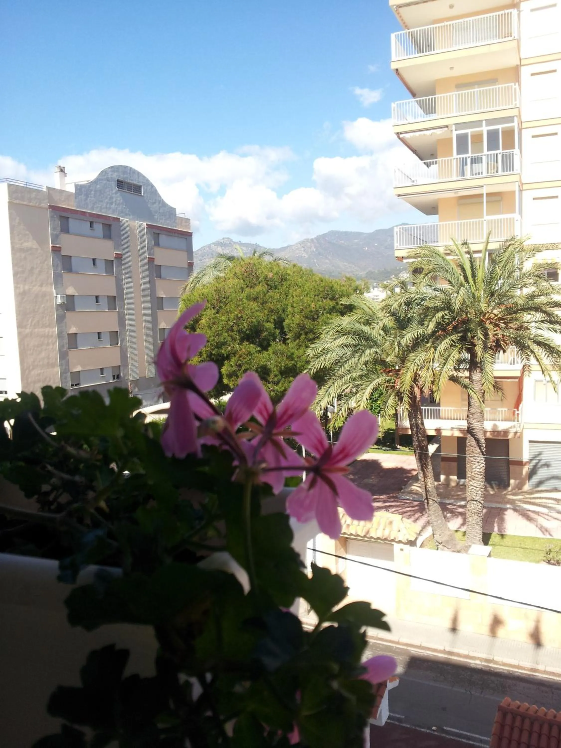 View (from property/room) in Hotel Tramontana