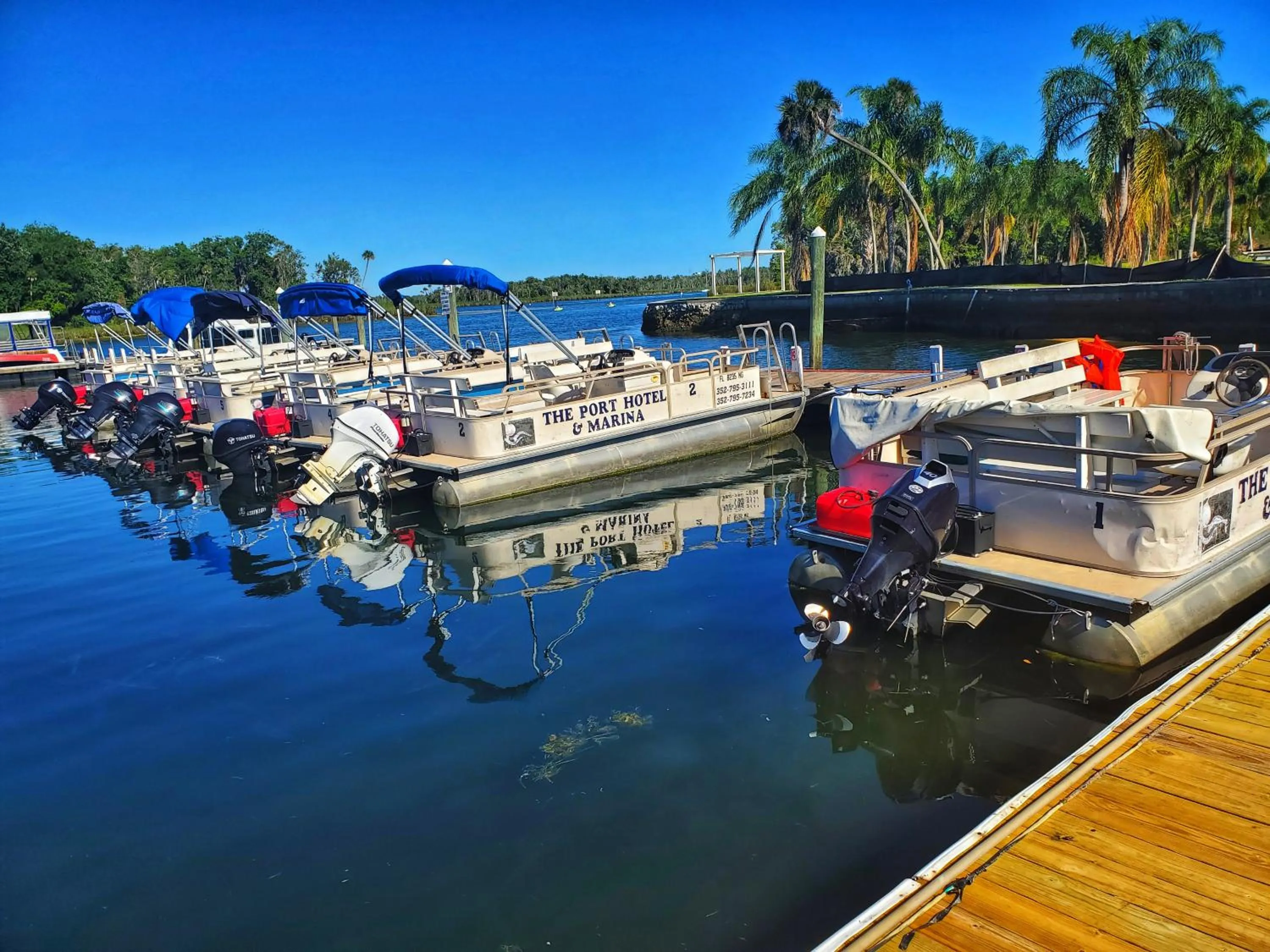 Activities in The Port Hotel and Marina
