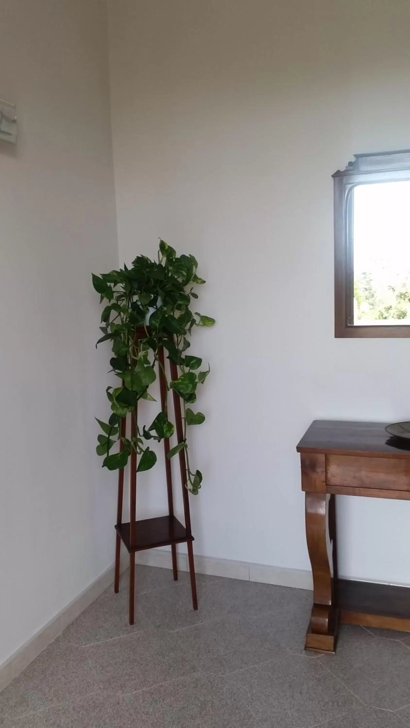 Facade/entrance in Casa Carolina B&B