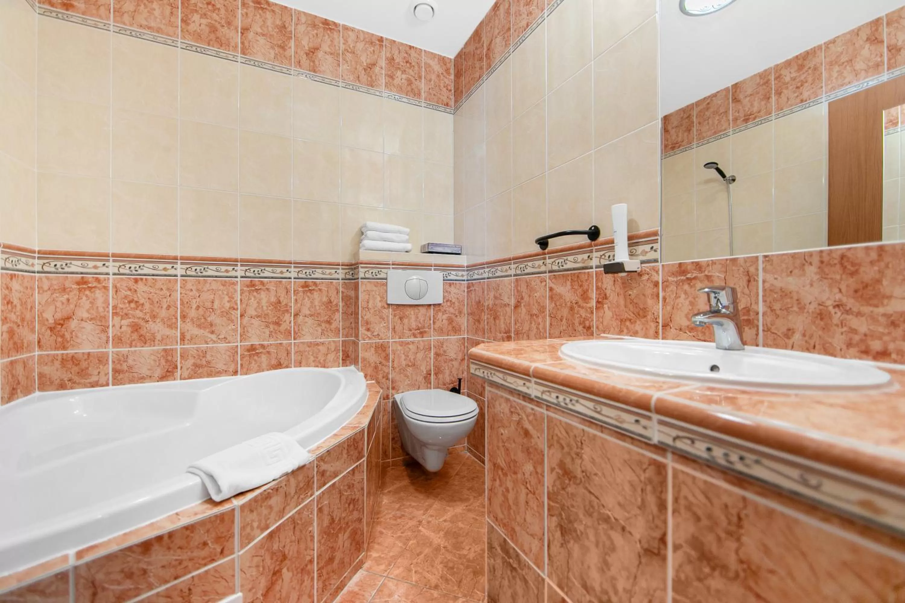 Toilet in Hotel Palace