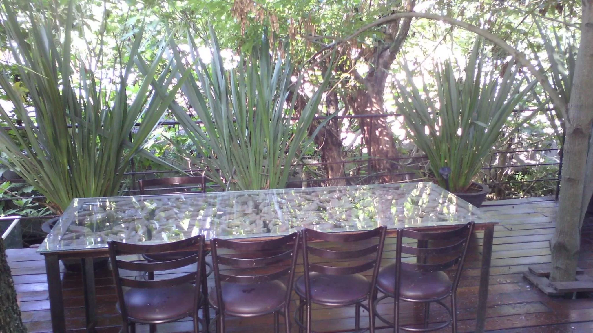 Patio in Casa Tepoztlán