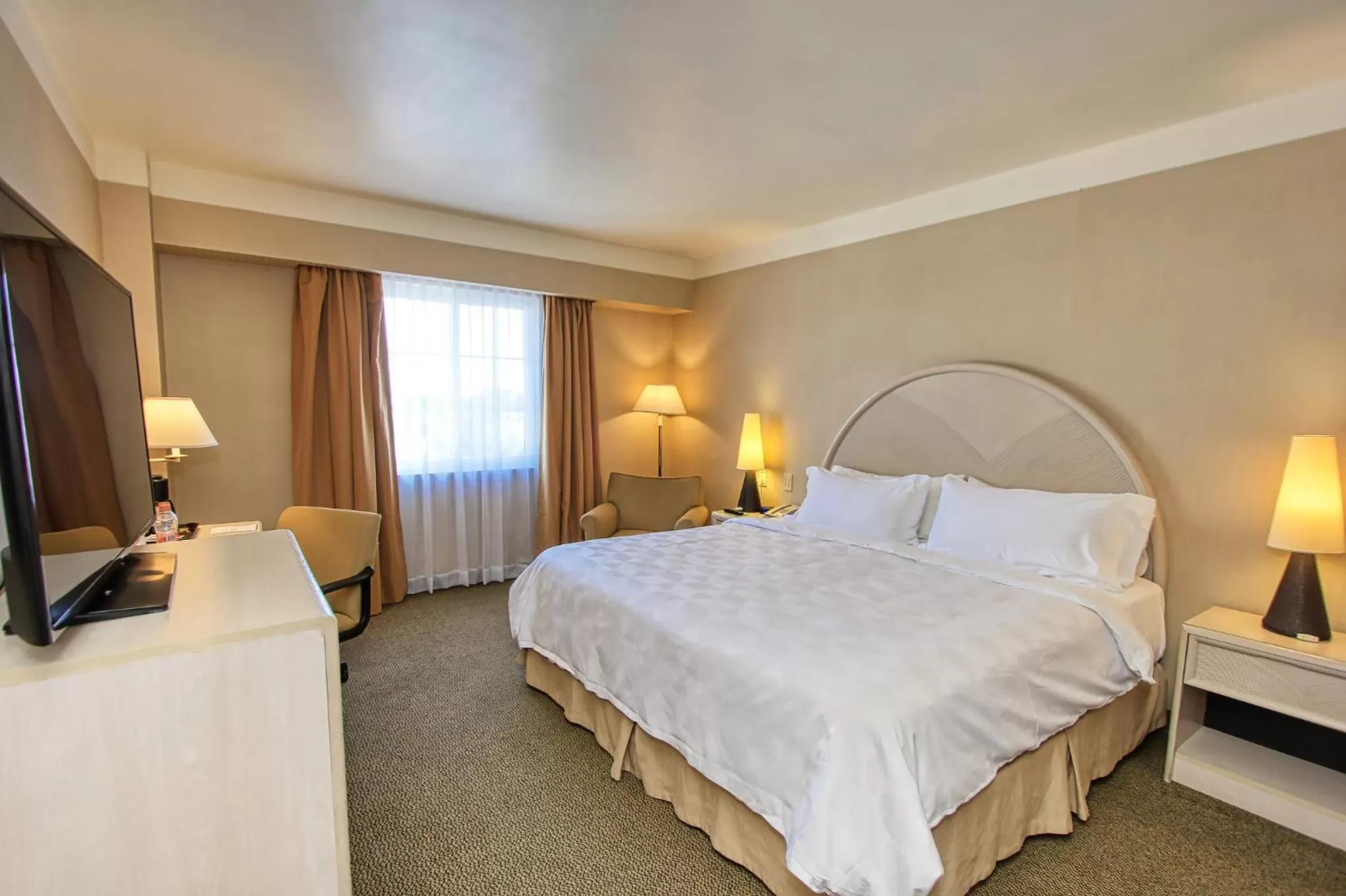 Photo of the whole room, Bed in Holiday Inn Leon-Convention Center by IHG