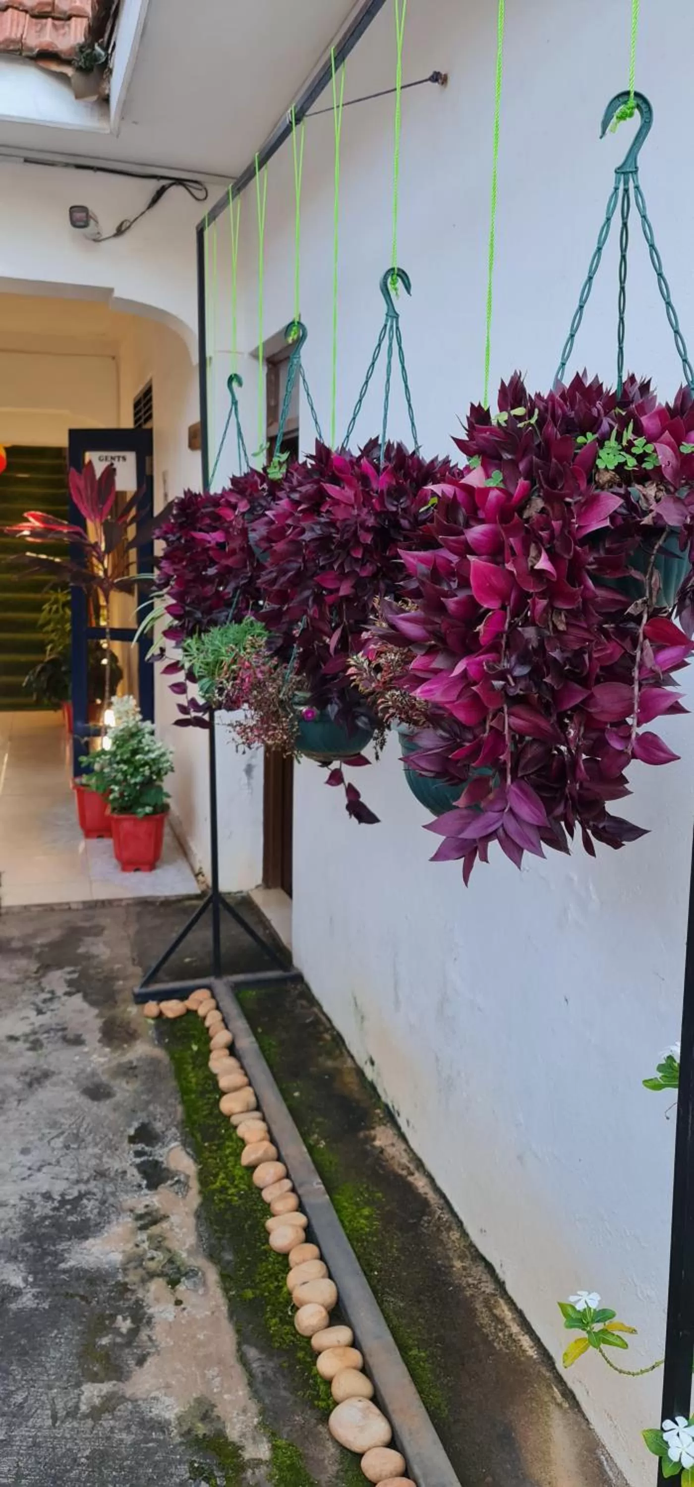 Decorative detail in Northern Pearl