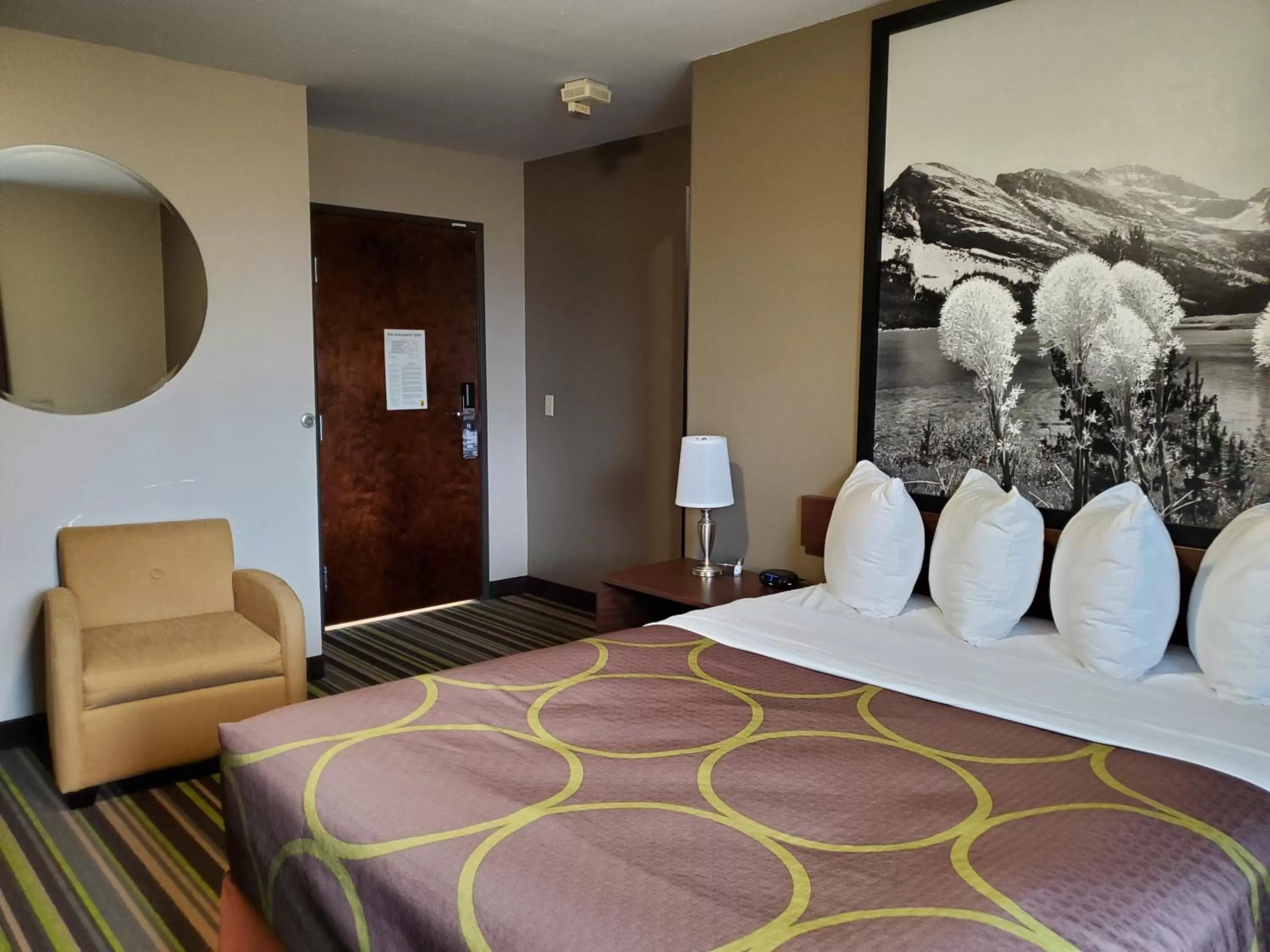 Bed in Super 8 by Wyndham Belgrade/Bozeman Airport