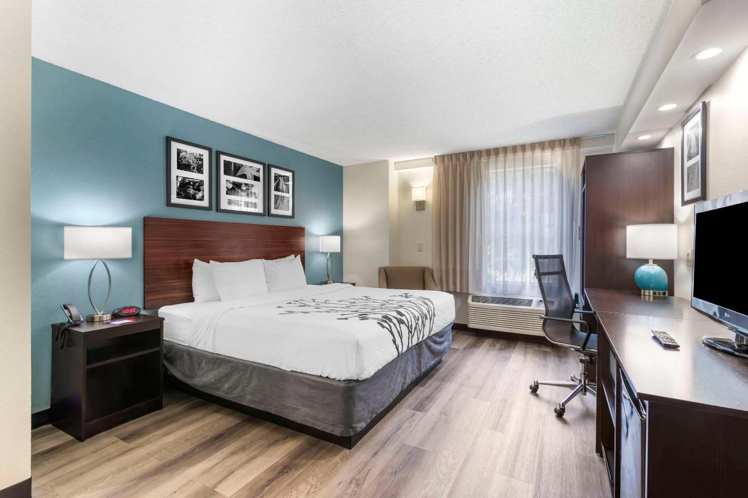 Bedroom, Bed in Sleep Inn Mt Pleasant - Charleston