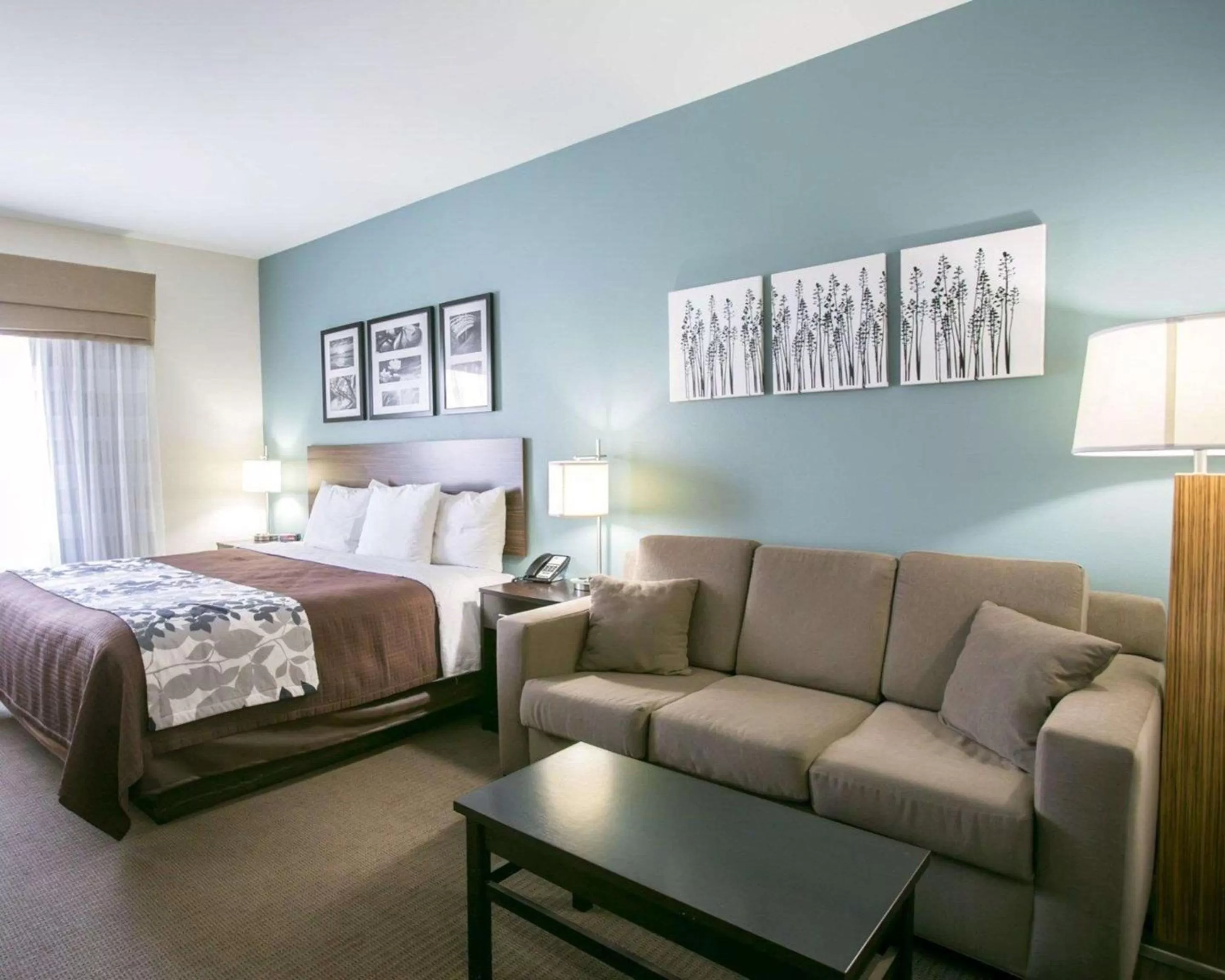 Photo of the whole room, Bed in Sleep Inn & Suites Austin North - I-35