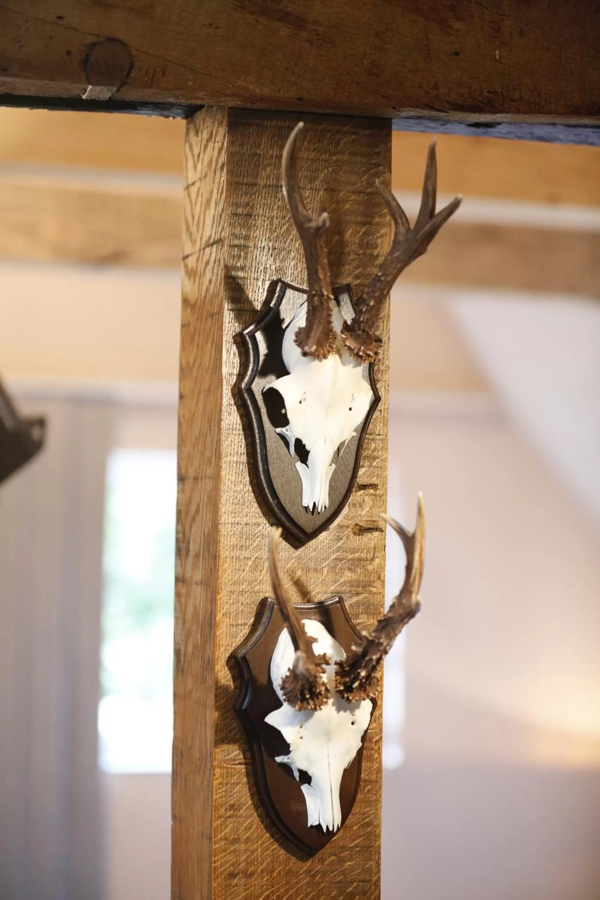 Decorative detail in Malerwinkel Hotel