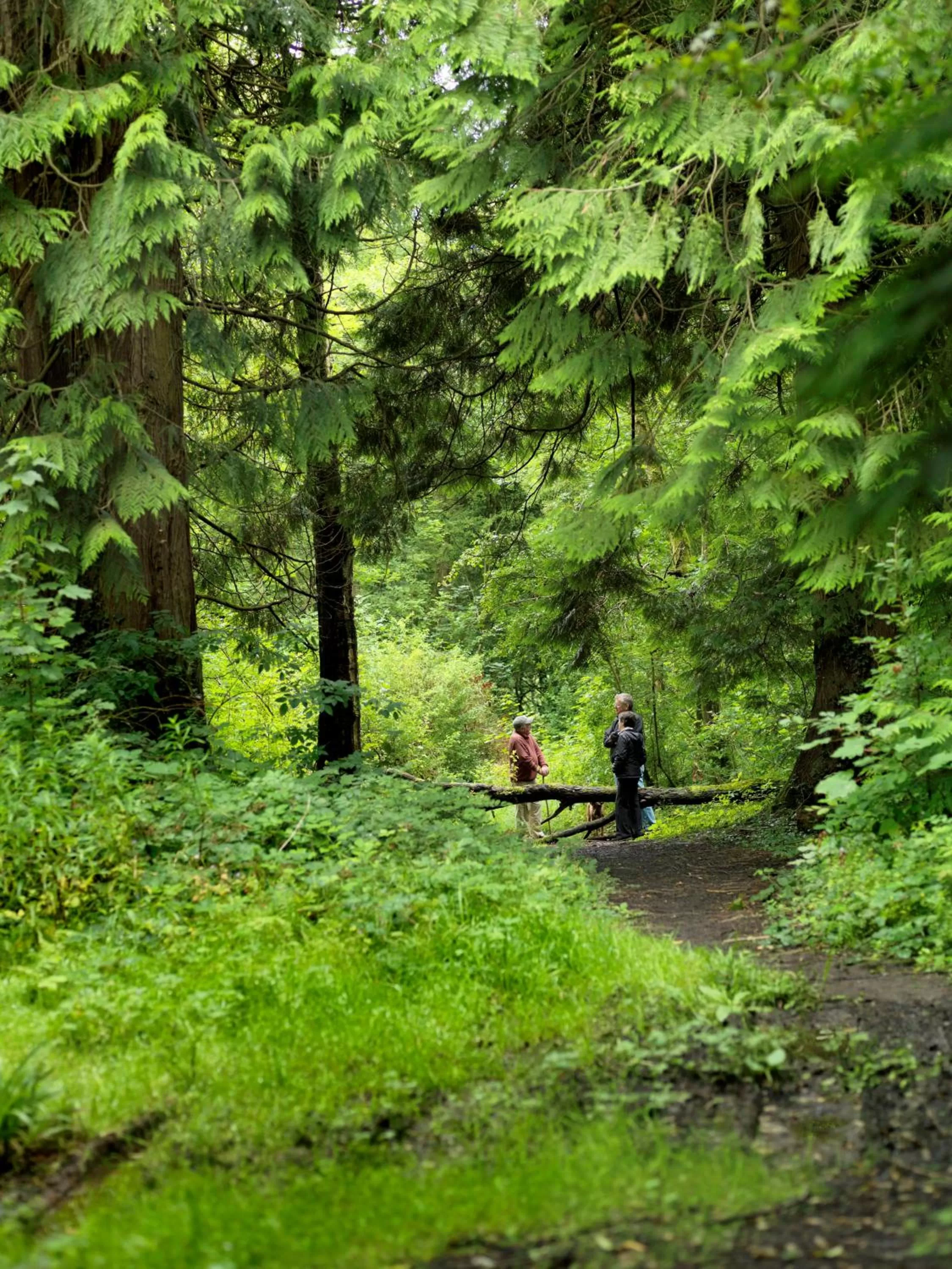 Garden in Farnham Estate Spa and Golf Resort