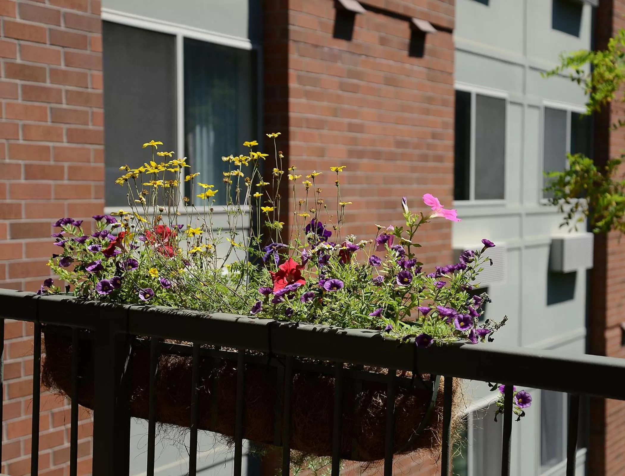 Facade/entrance in The Madison Inn