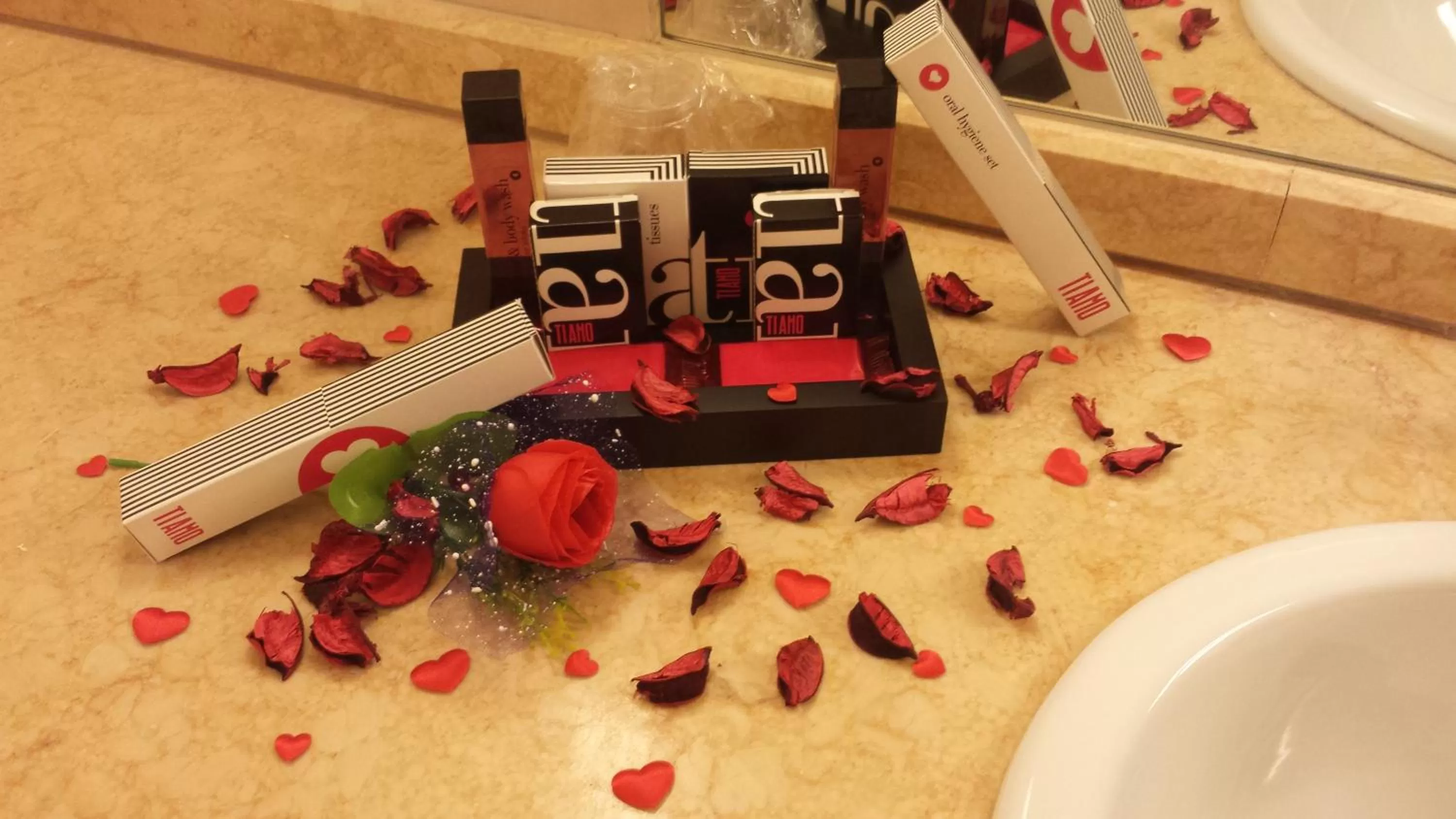 Area and facilities in Hotel Due Colonne